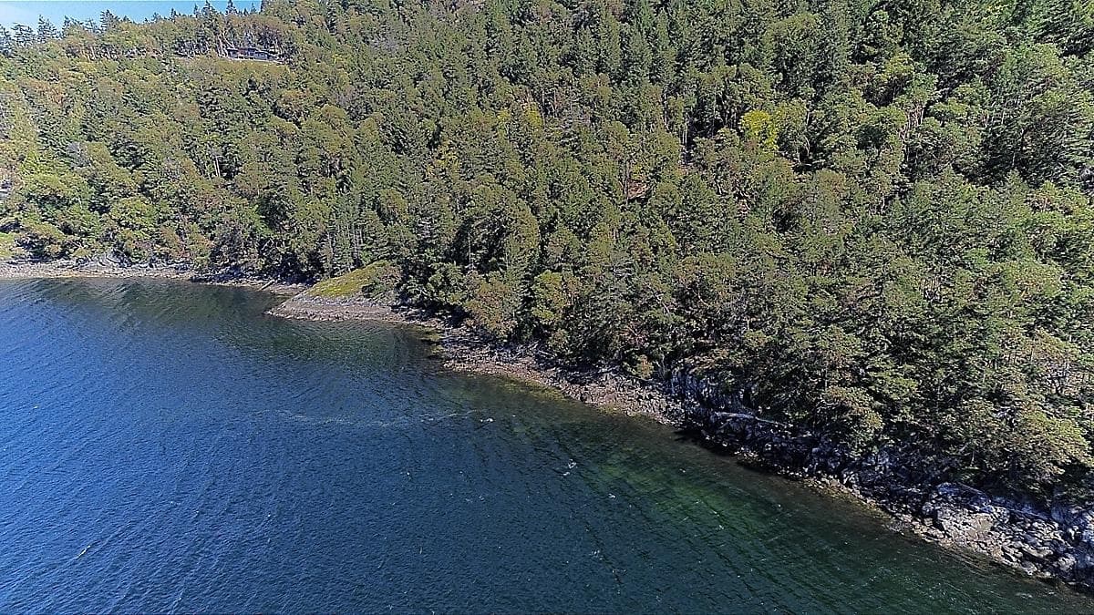 206 Narrows West Road, Salt Spring Island, V8K 0A3 — photo 4