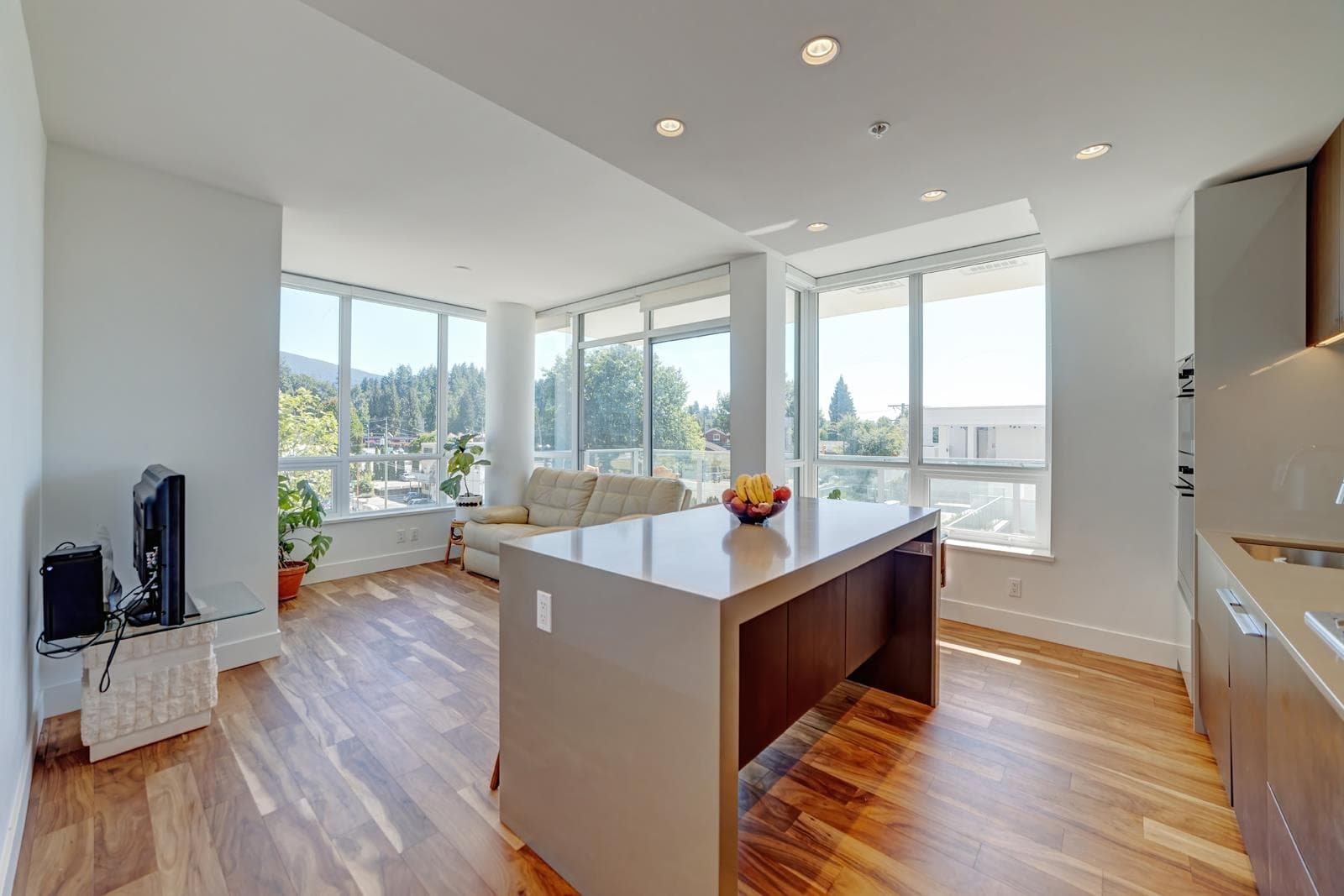 301 - 1675 Lions Gate Lane, North Vancouver, V7P 3B4 — photo 3