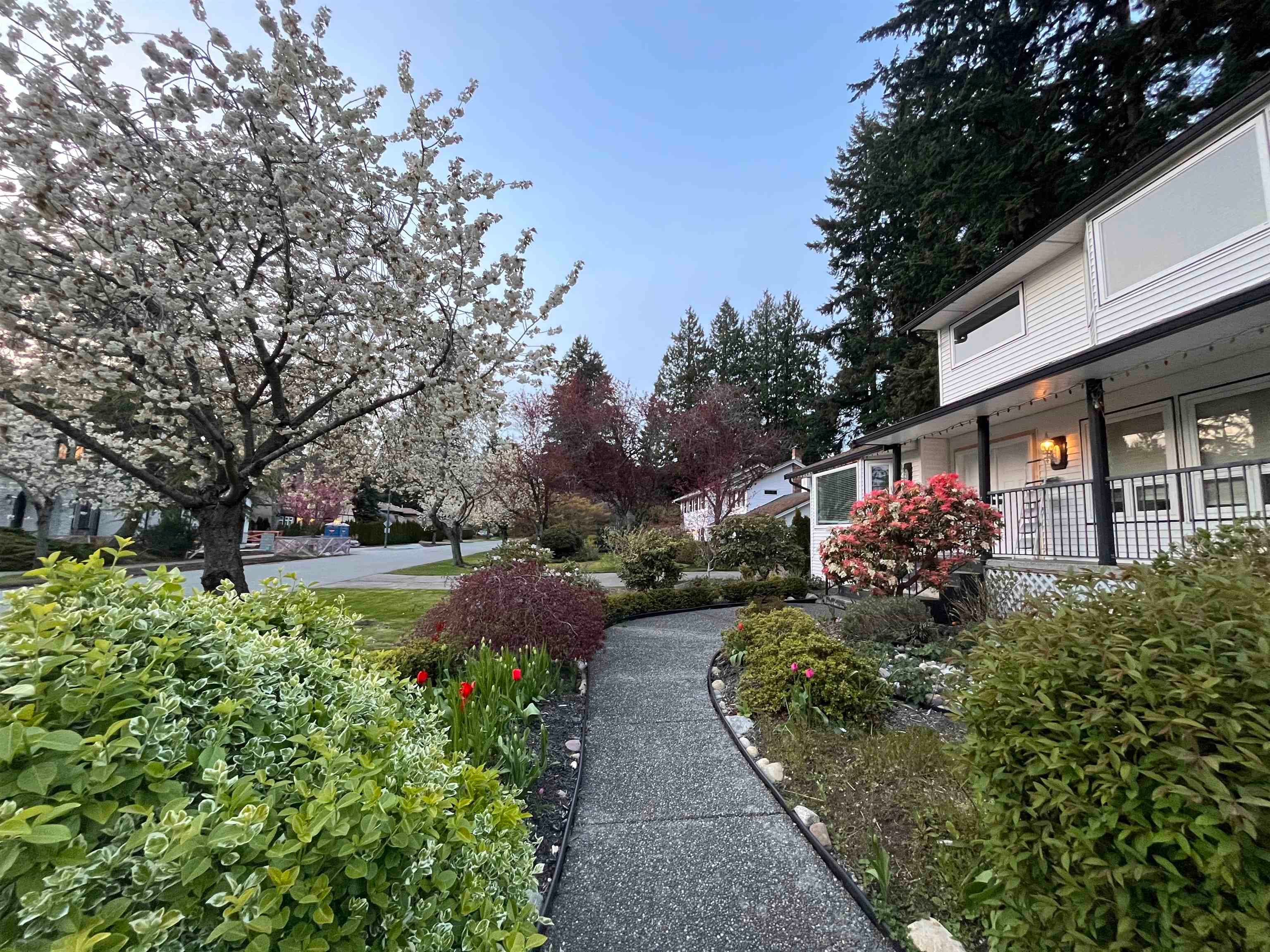 2296 129b Street, Surrey, V4A 7E2 — photo 3