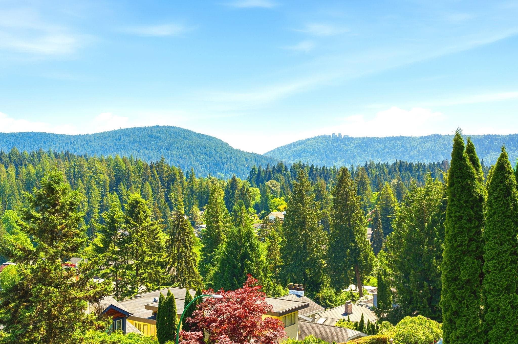 2323 Badger Road, North Vancouver, V7G 1S9 — photo 5
