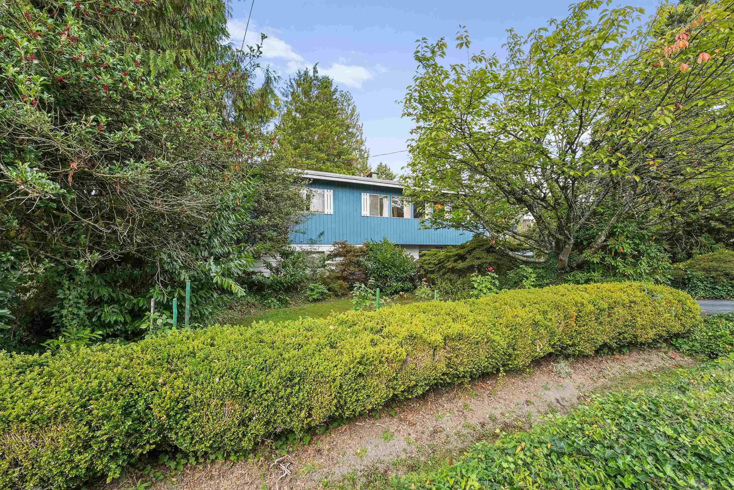 11669 228 Street, Maple Ridge, V2X 6L7 — photo 1