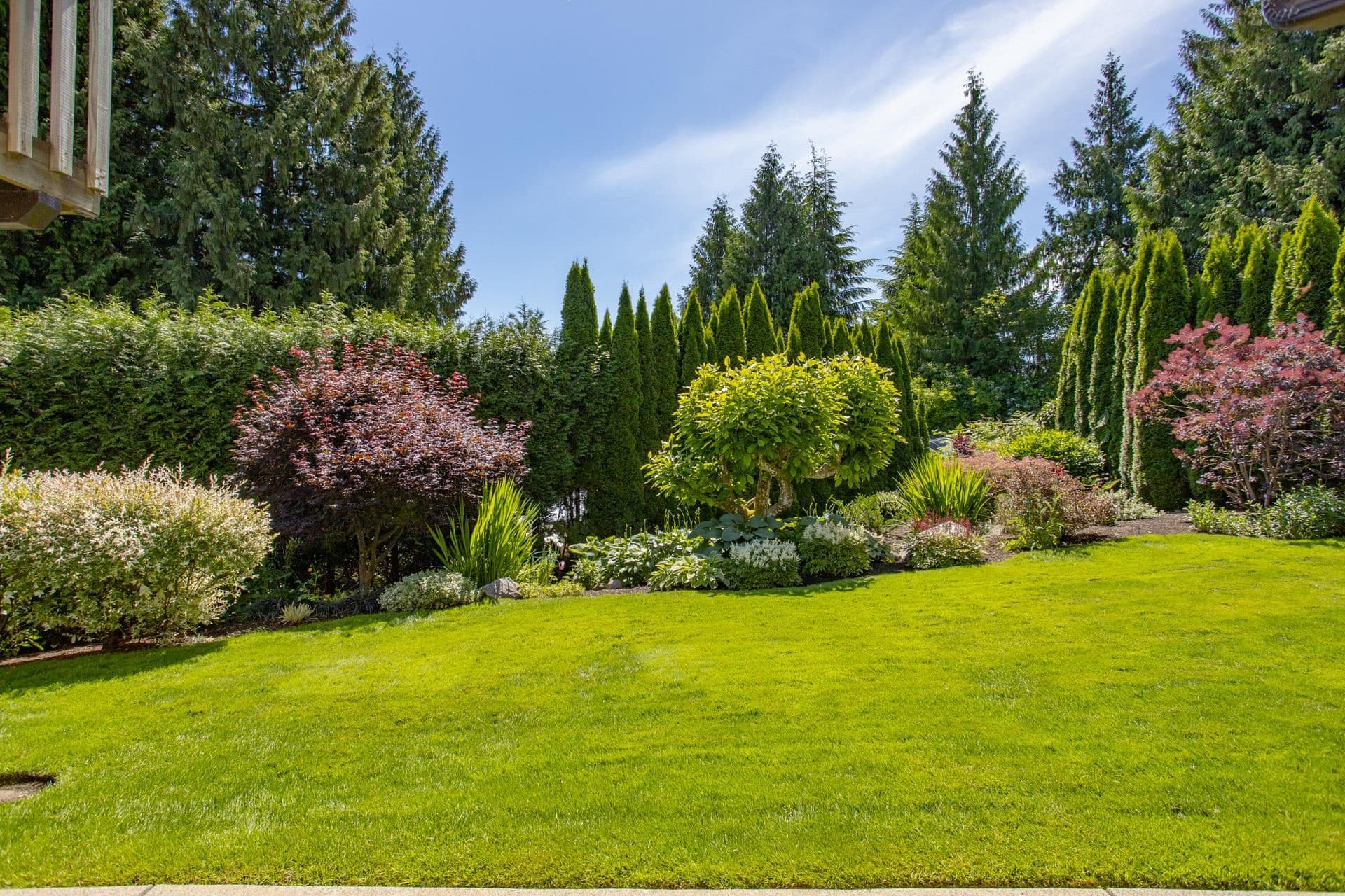 2802 Pilot Drive, Coquitlam, V3C 3T4 — photo 4