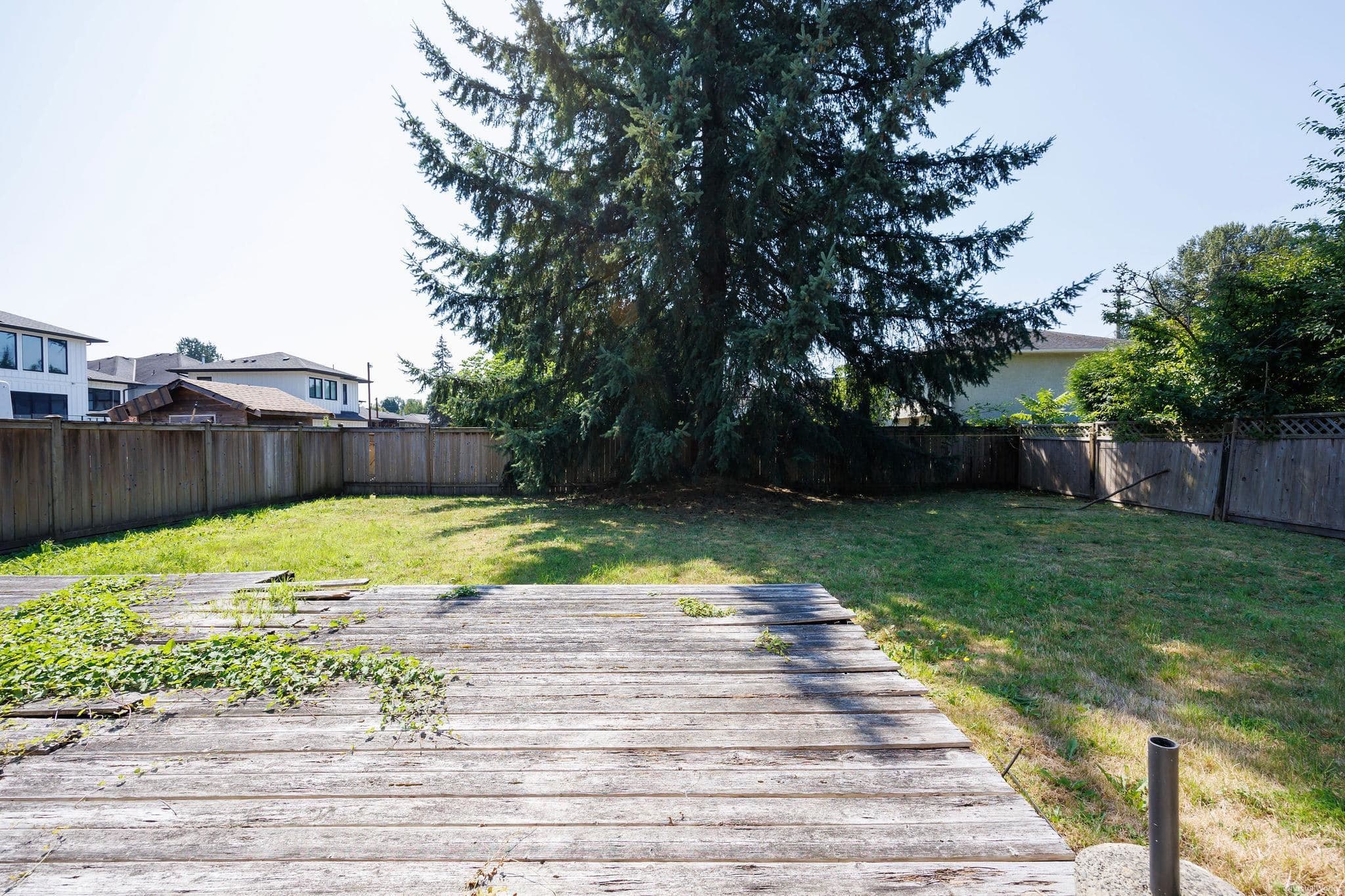 1234 Prairie Avenue, Port Coquitlam, V3B 1S8 — photo 3