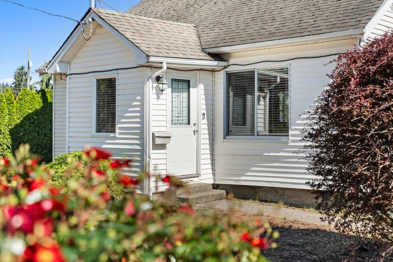 9260 Mcnaught Road, Chilliwack, V2P 6E6 — photo 4