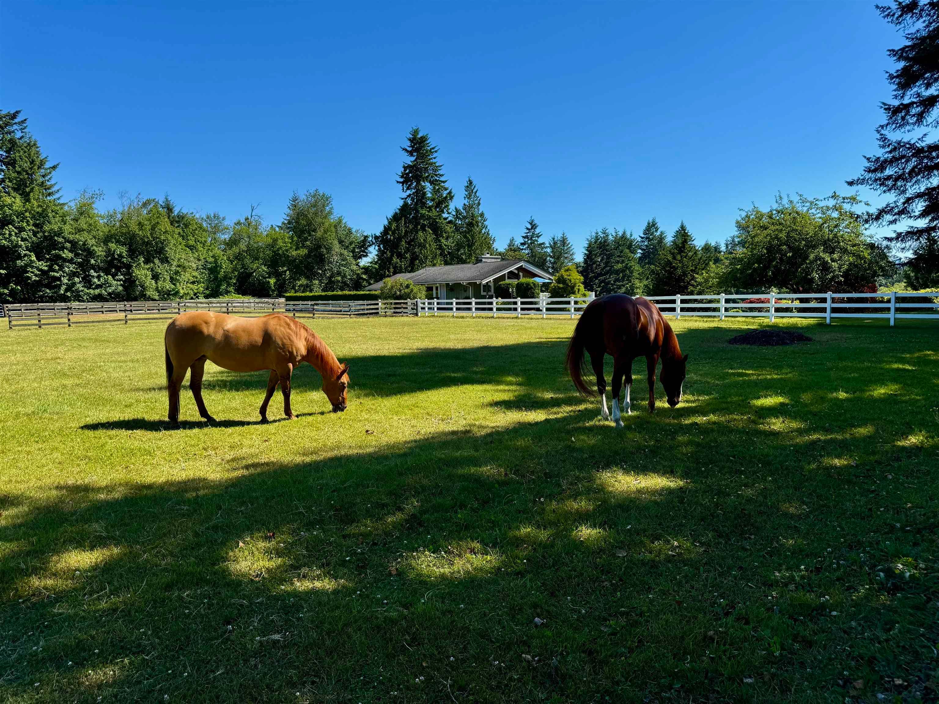 25177 64 Avenue, Langley, V4W 1H5 — photo 1