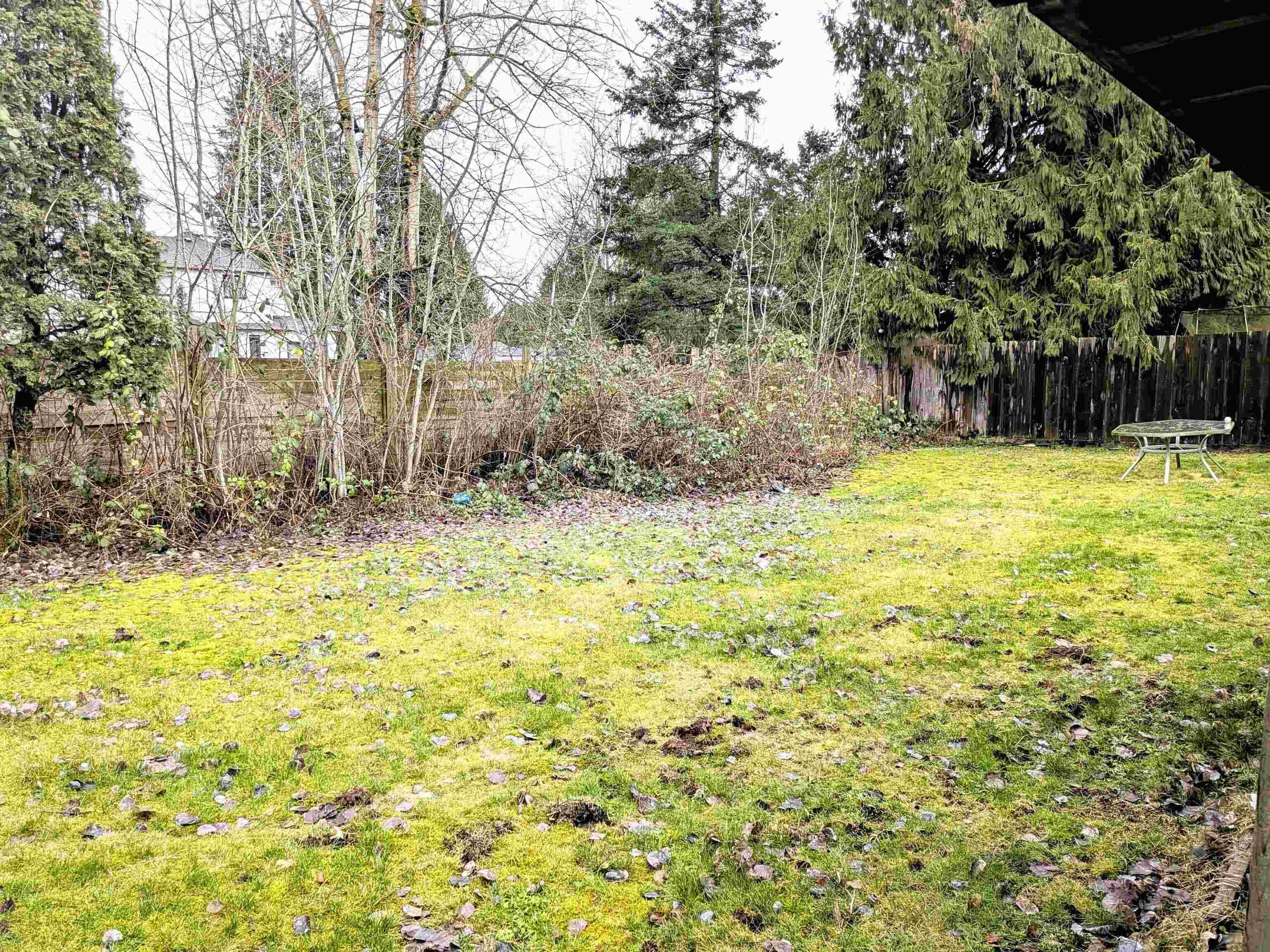 11812 85a Avenue, Delta, V4C 2V6 — photo 5