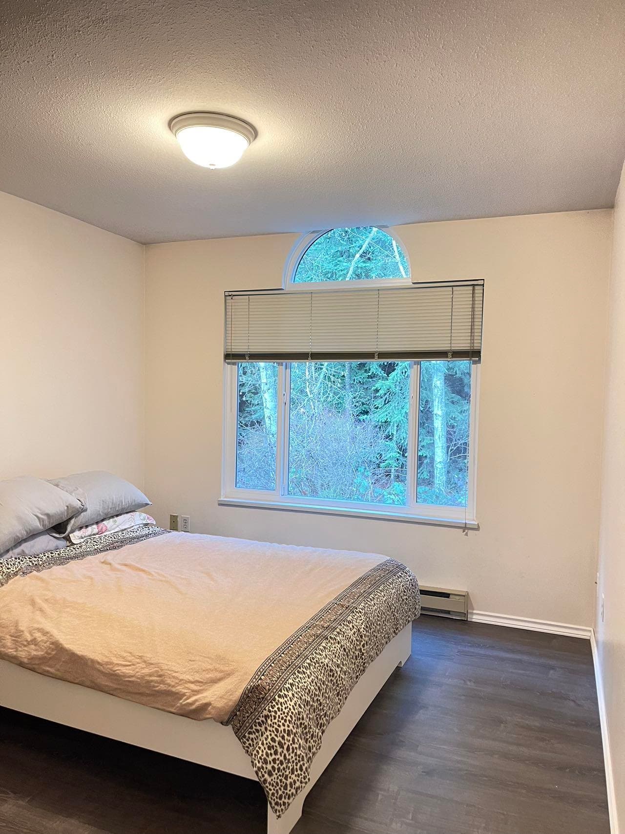 2736 Atlin Place, Coquitlam, V3C 5T2 — photo 5
