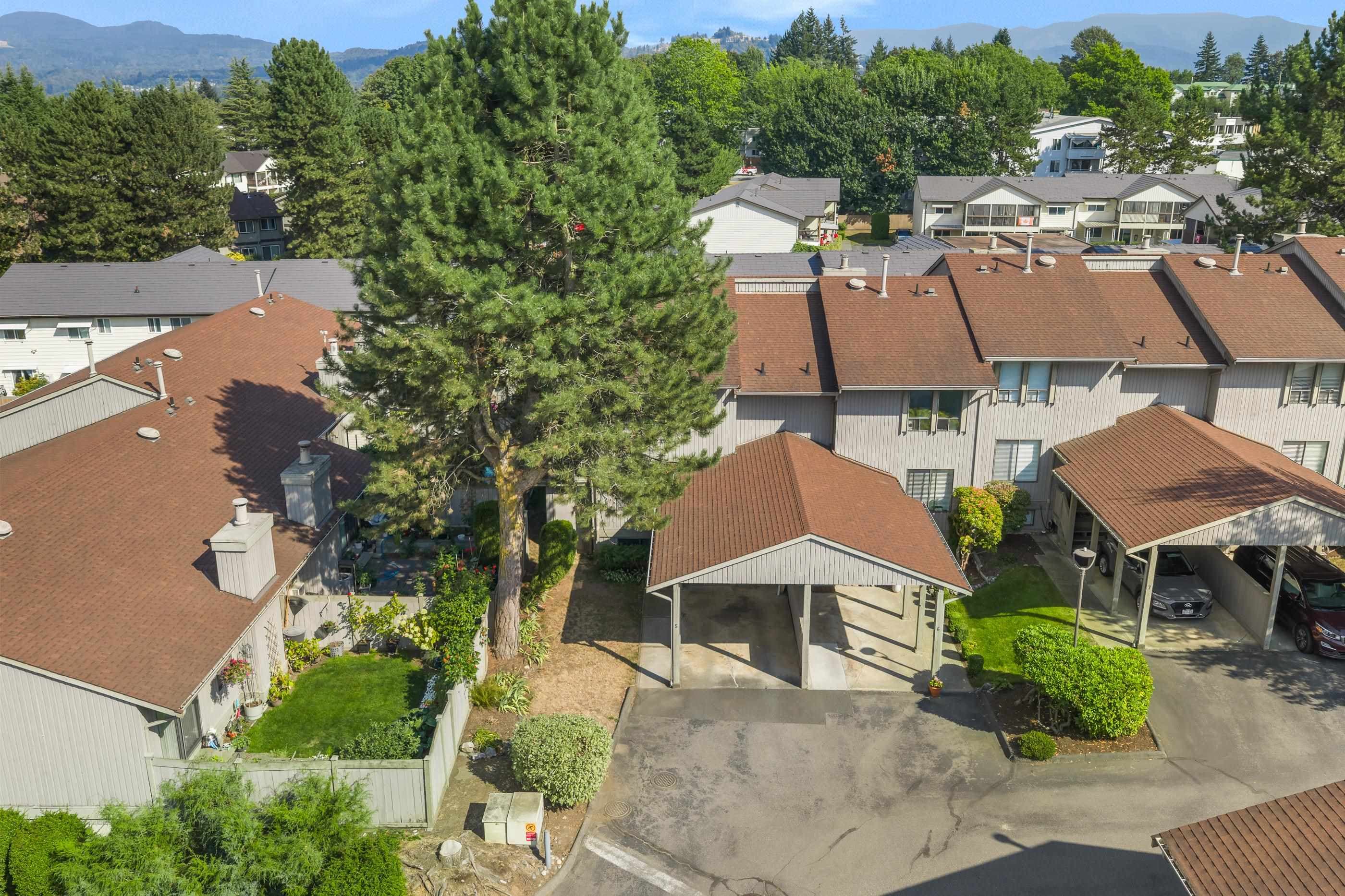 5 - 32858 Landeau Place, Abbotsford, V2S 5X9 — photo 4