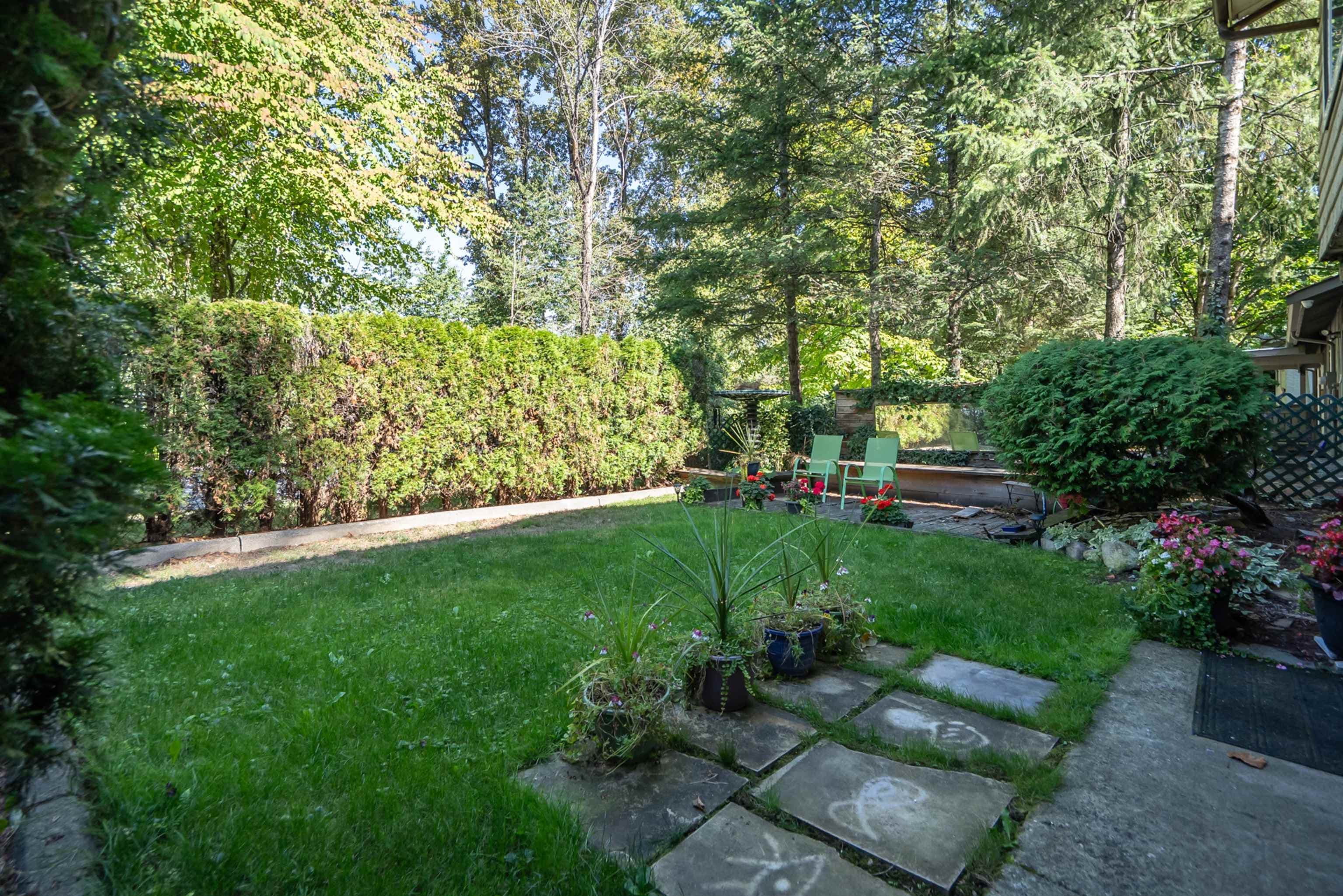 13314 114 Avenue, Surrey, V3R 2L3 — photo 2