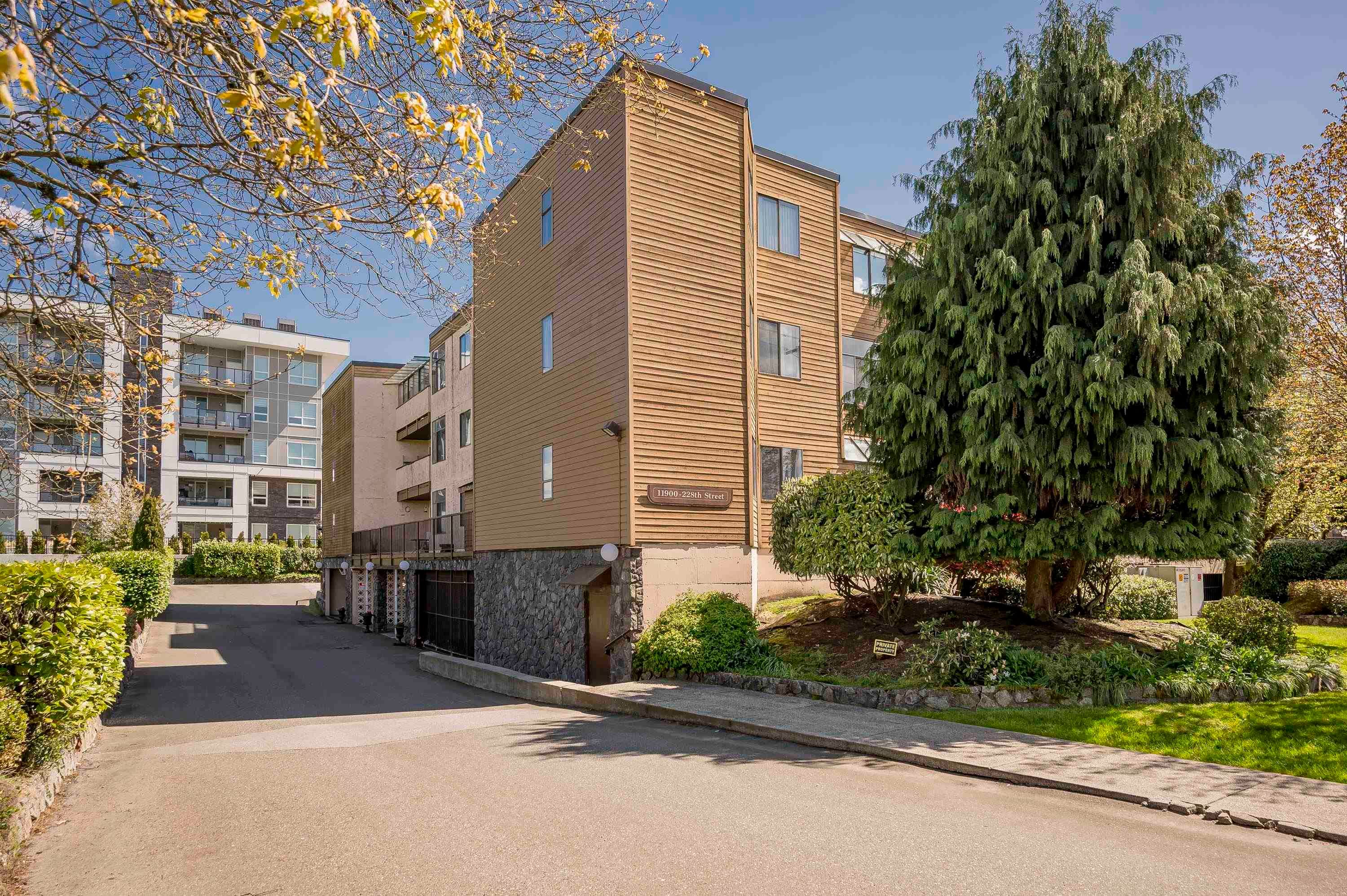 32 - 11900 228 Street, Maple Ridge