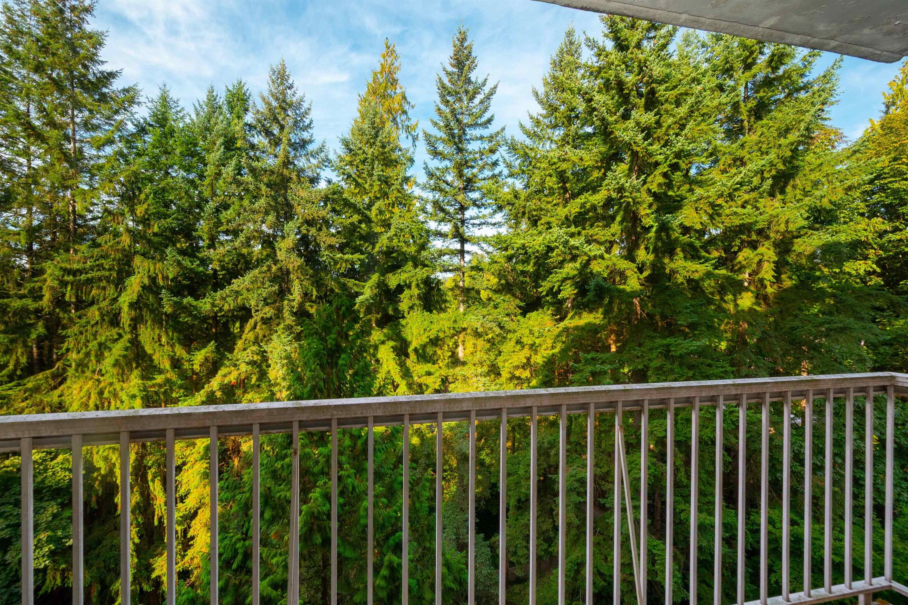 901 - 2020 Fullerton Avenue, North Vancouver, V7P 3G3 — photo 3