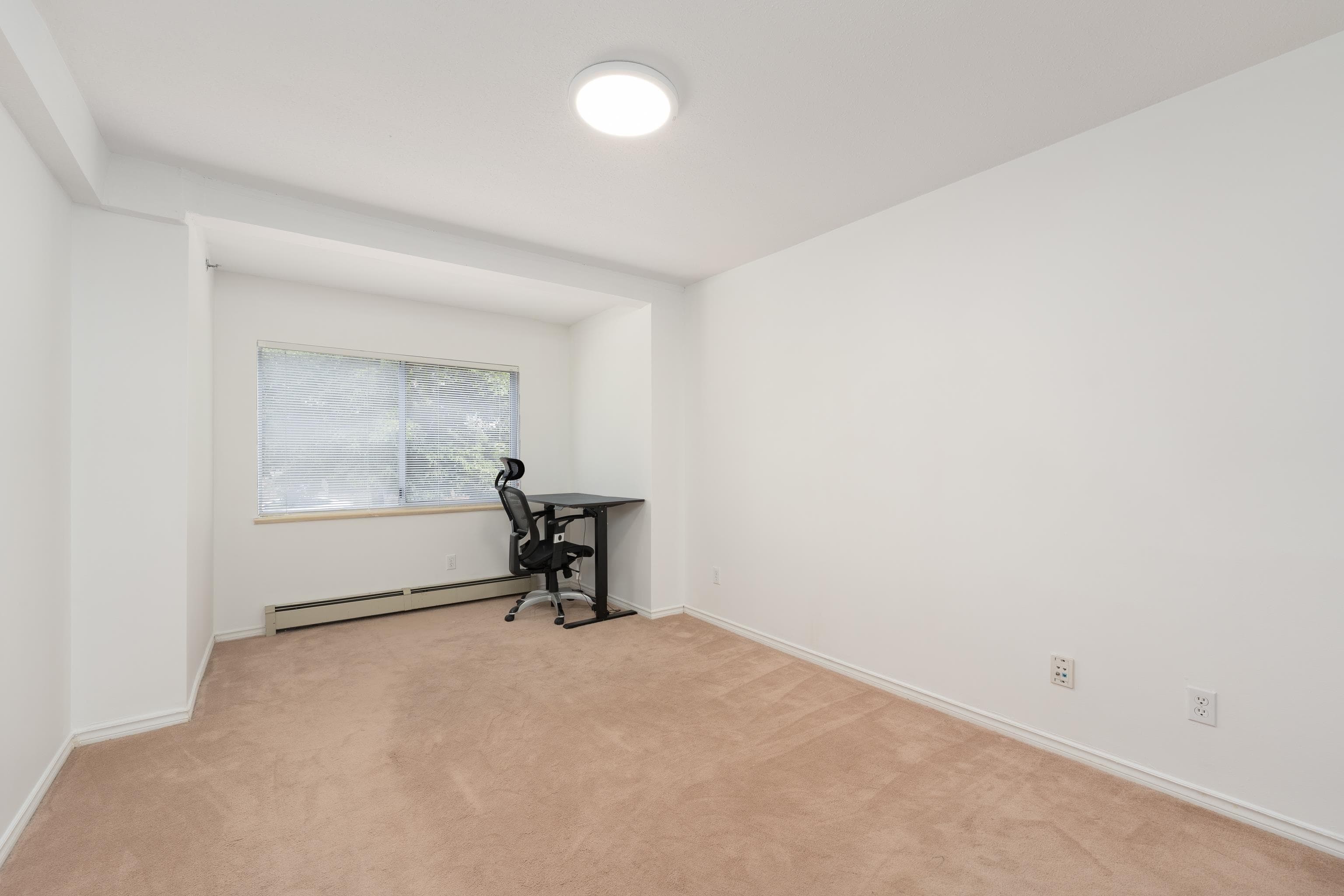 1038 E 51st Avenue, Vancouver, V5X 1E7 — photo 5