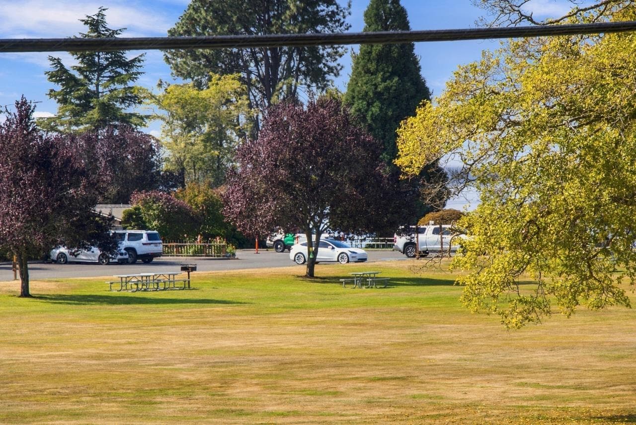 17037 0 Avenue, Surrey, V3Z 9N9 — photo 5