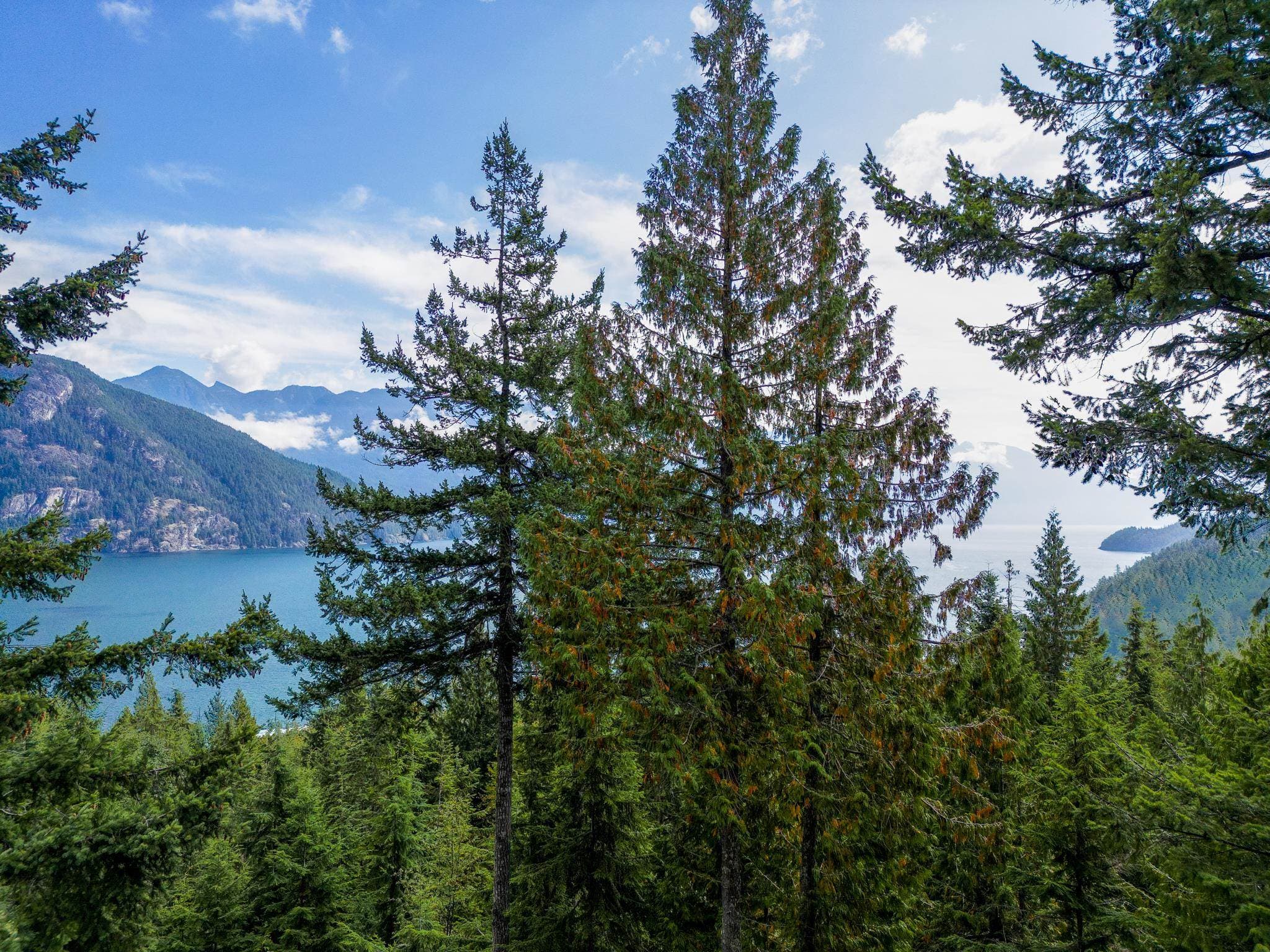 LOT 43 Douglas Bay, Gambier Island, V0N 1V0 — photo 5