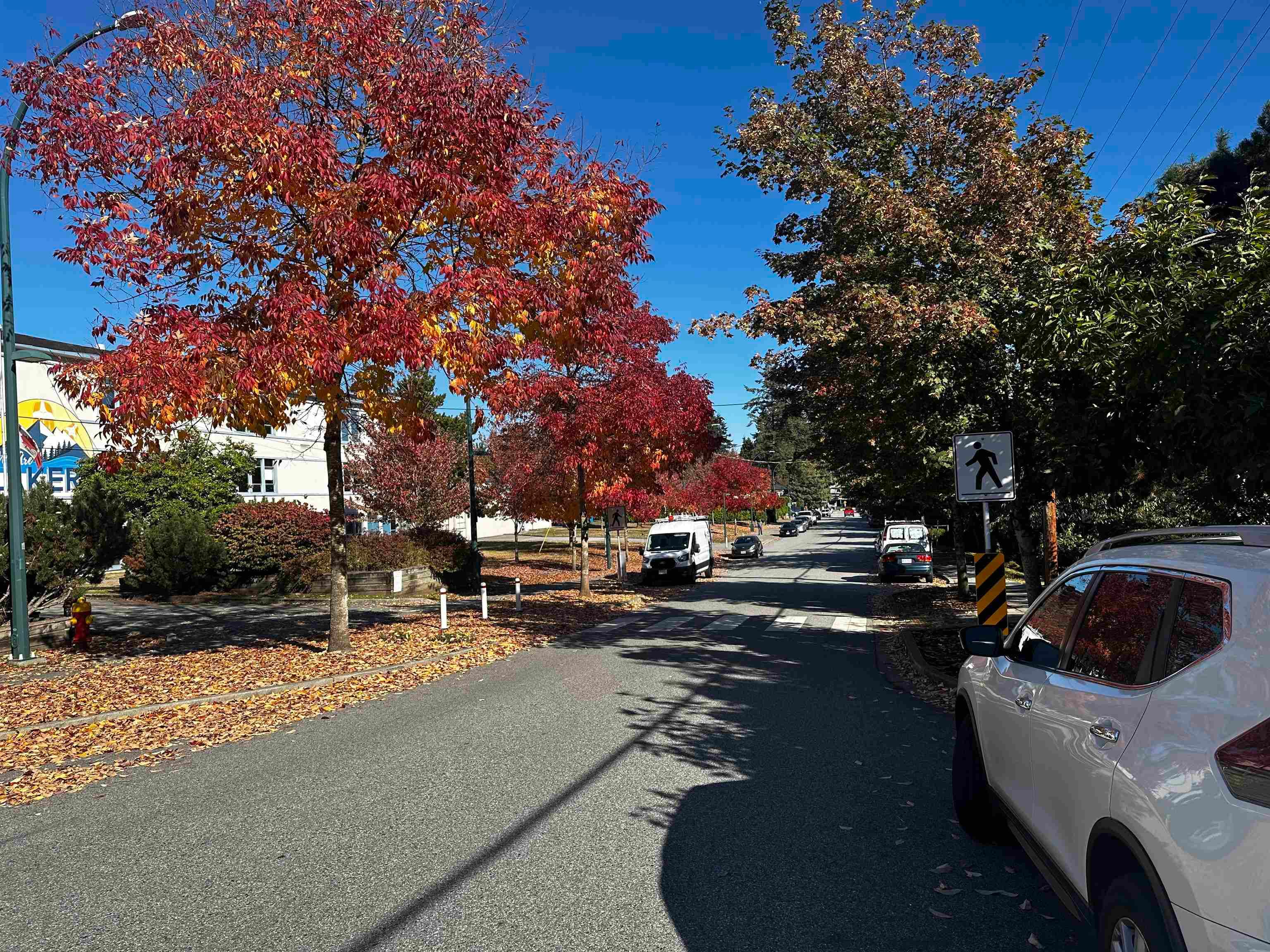 205 - 1122 King Albert Avenue, Coquitlam, V3J 1X7 — photo 3