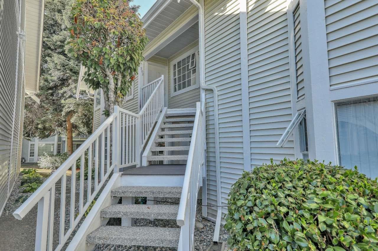 202 - 9109 154 Street, Surrey, V3R 9G8 — photo 2