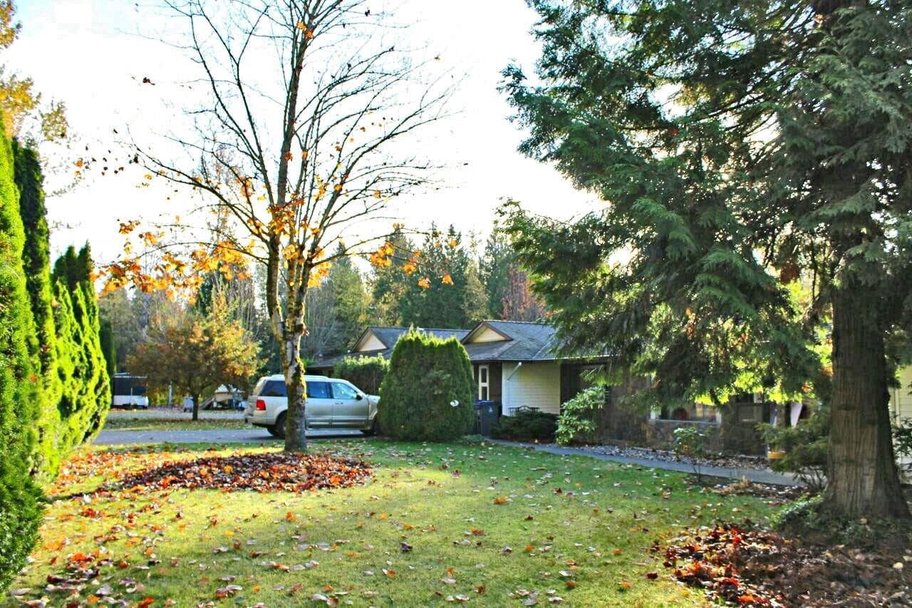 16354 18 Avenue, Surrey