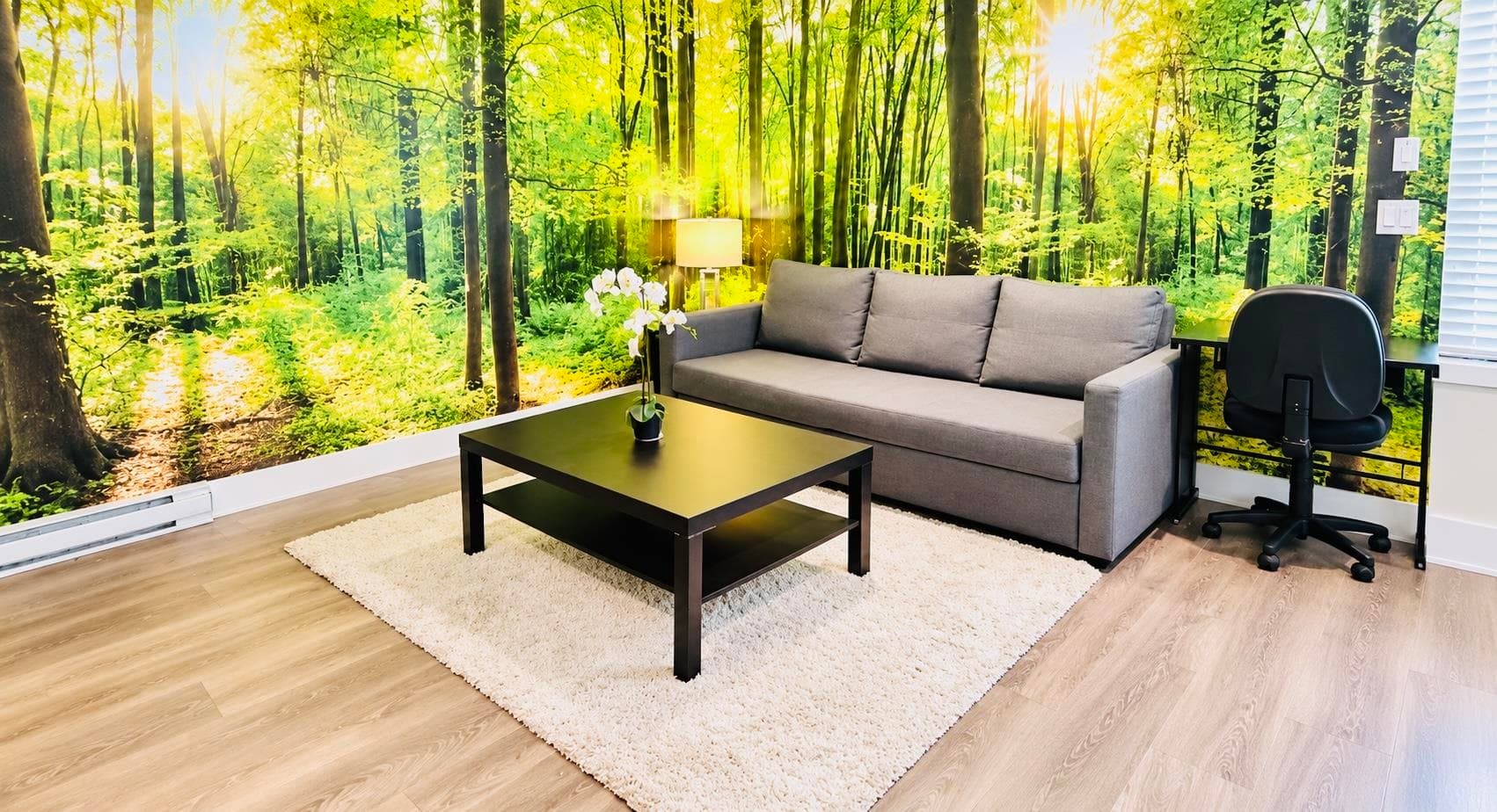 basement suite - 2161 167 St, Surrey