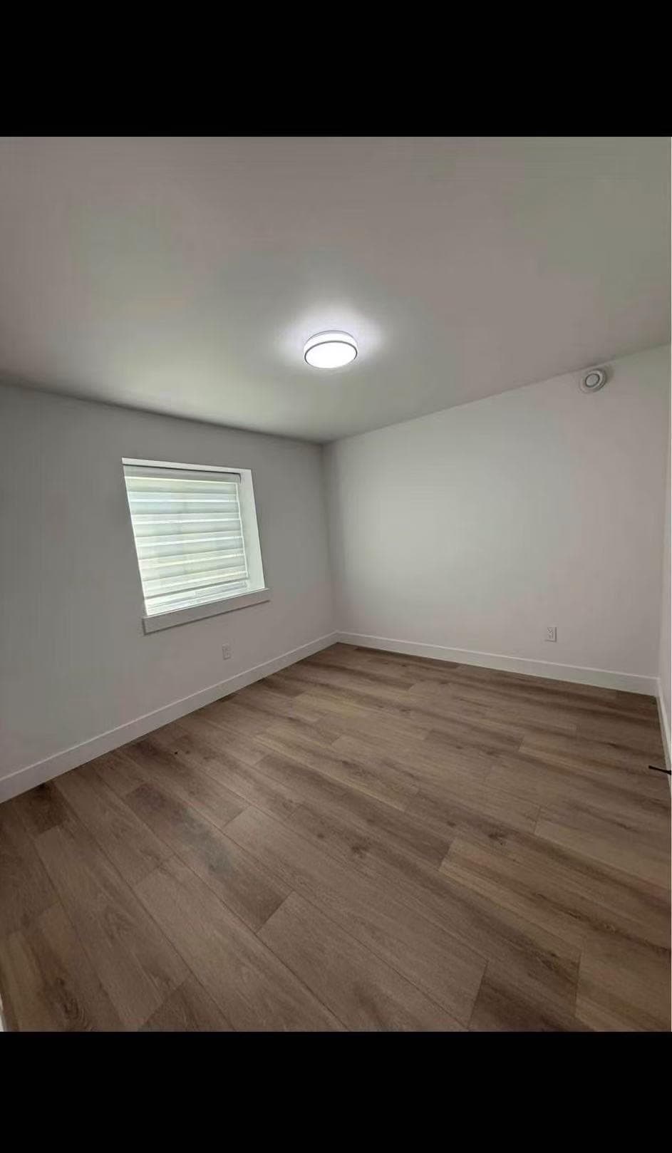 Basement - 160xx 9a Avenue, Surrey, V4A 4W5 — photo 5