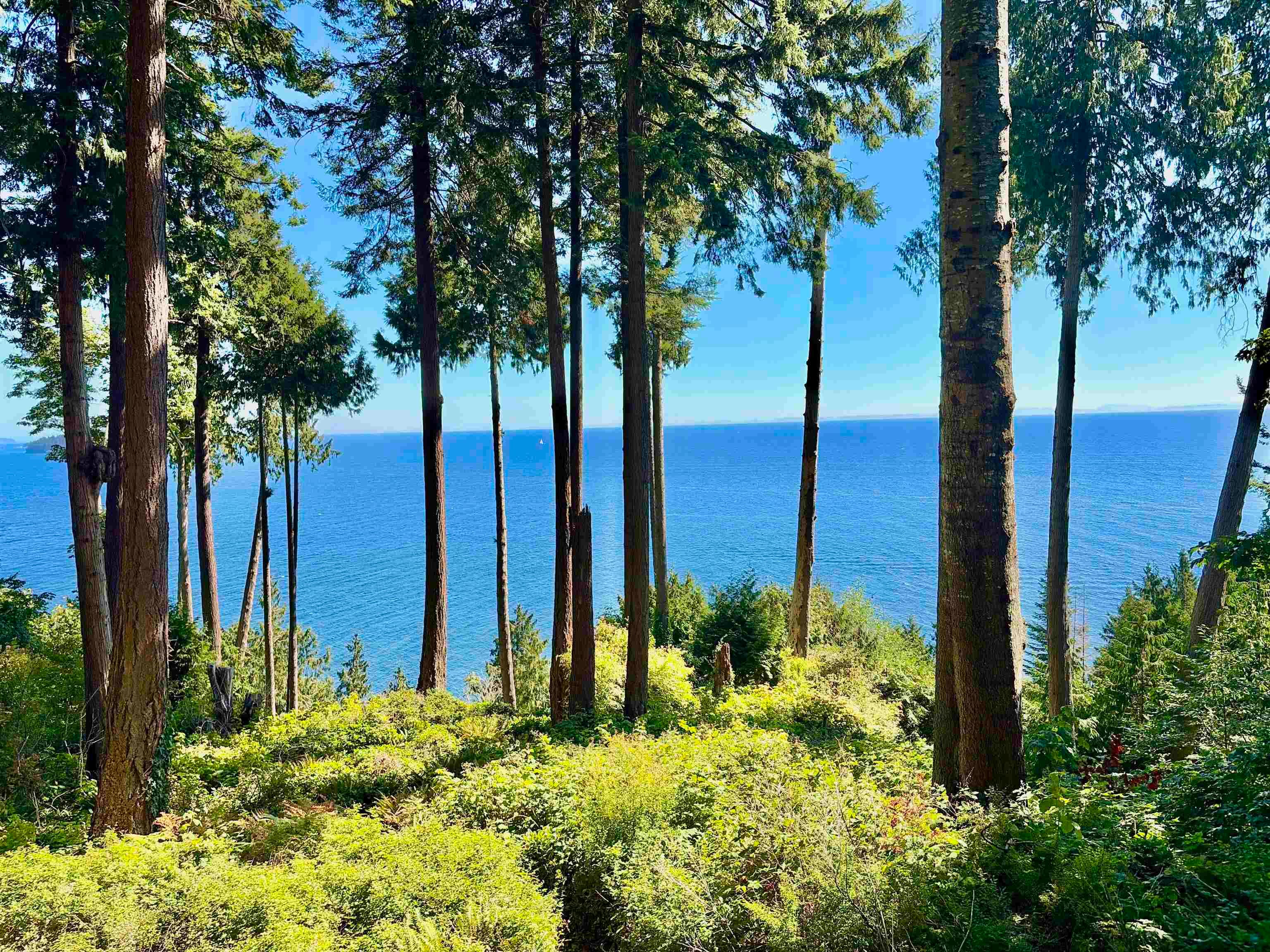 61/Lot3 Larson Road, Gibsons, V0N 1V3 — photo 1