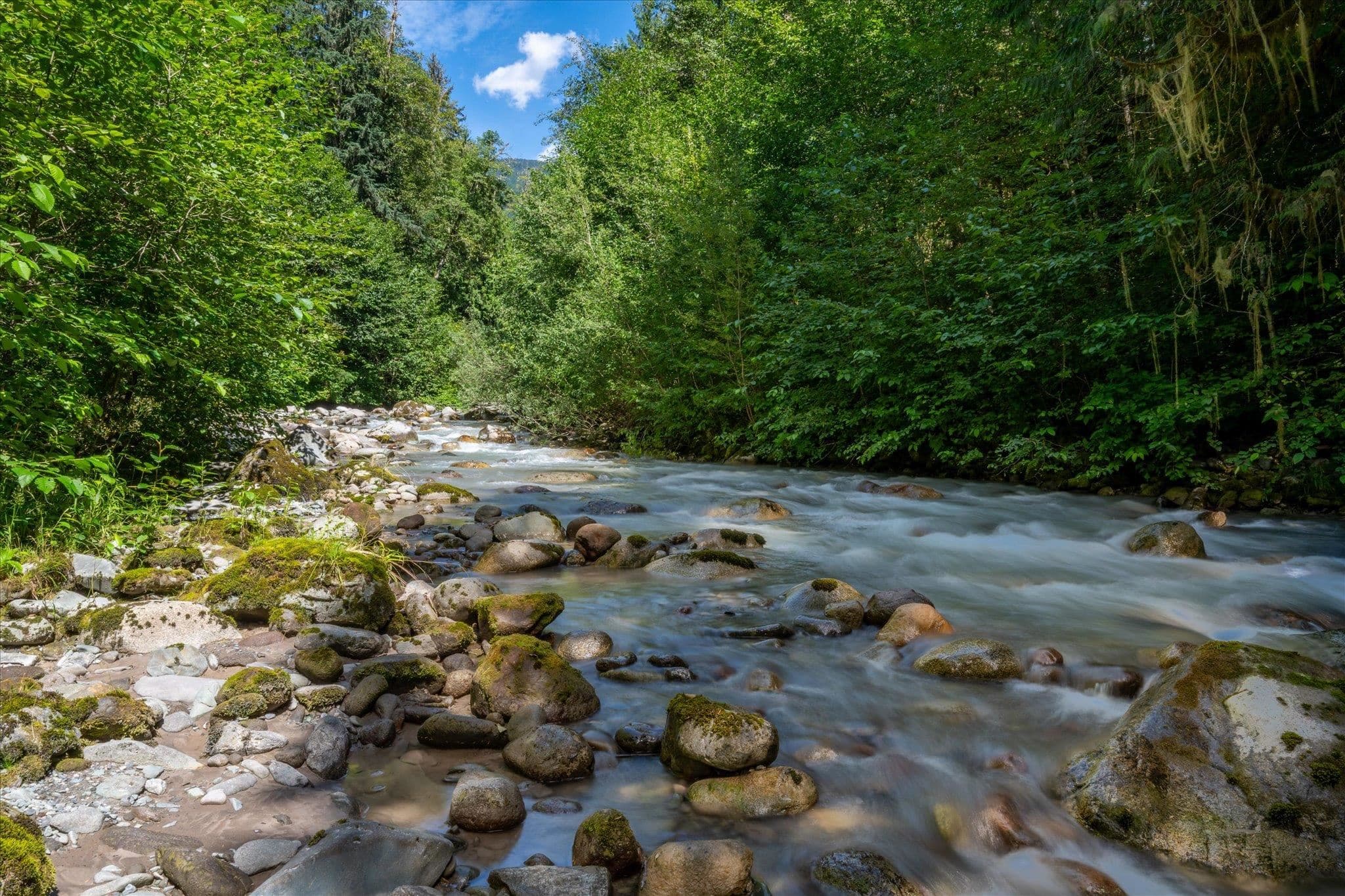 3324 Mamquam Road, Squamish, V8B 0S6 — photo 2