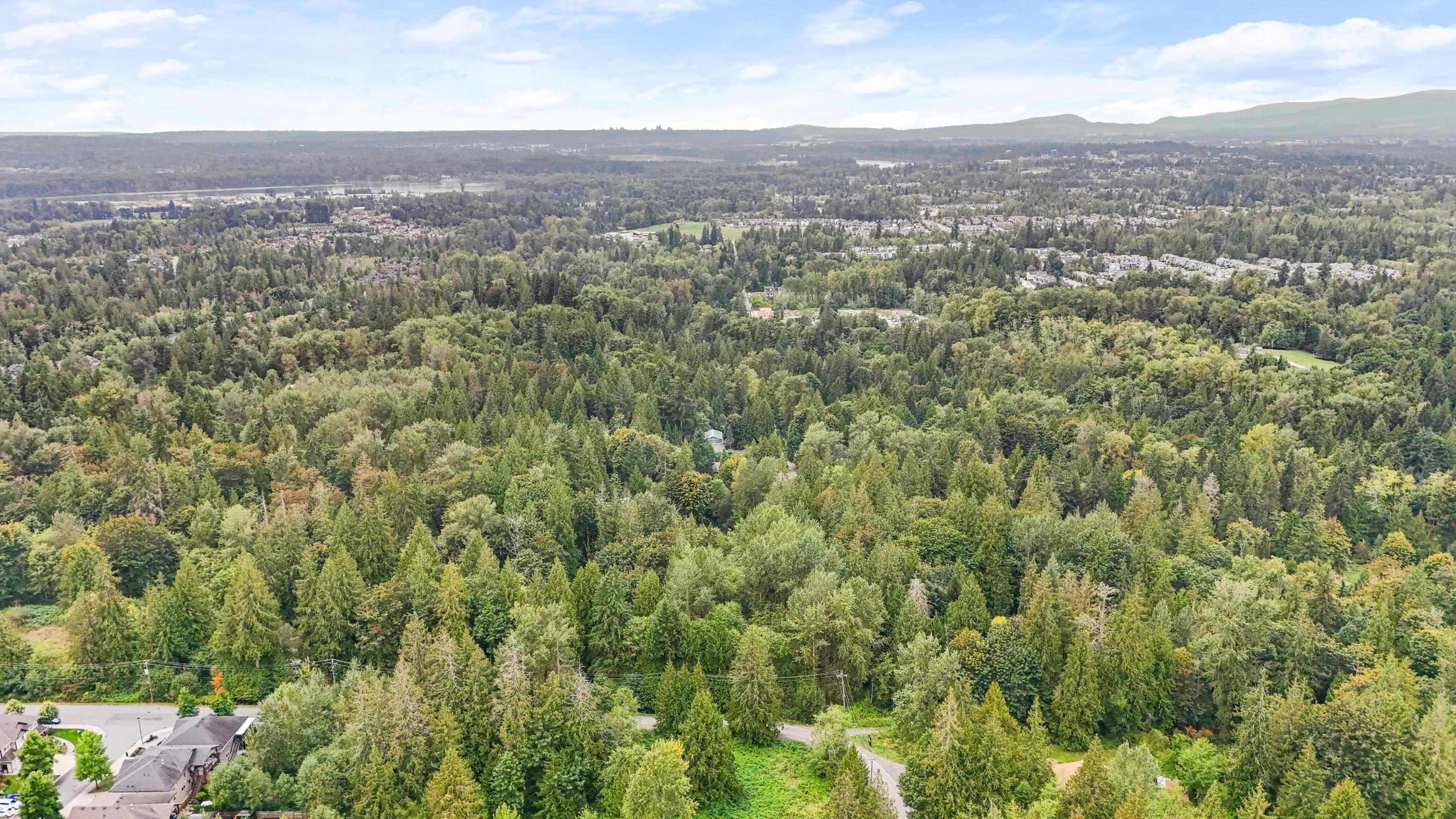 10941 249 Street, Maple Ridge, V2W 1Z7 — photo 4