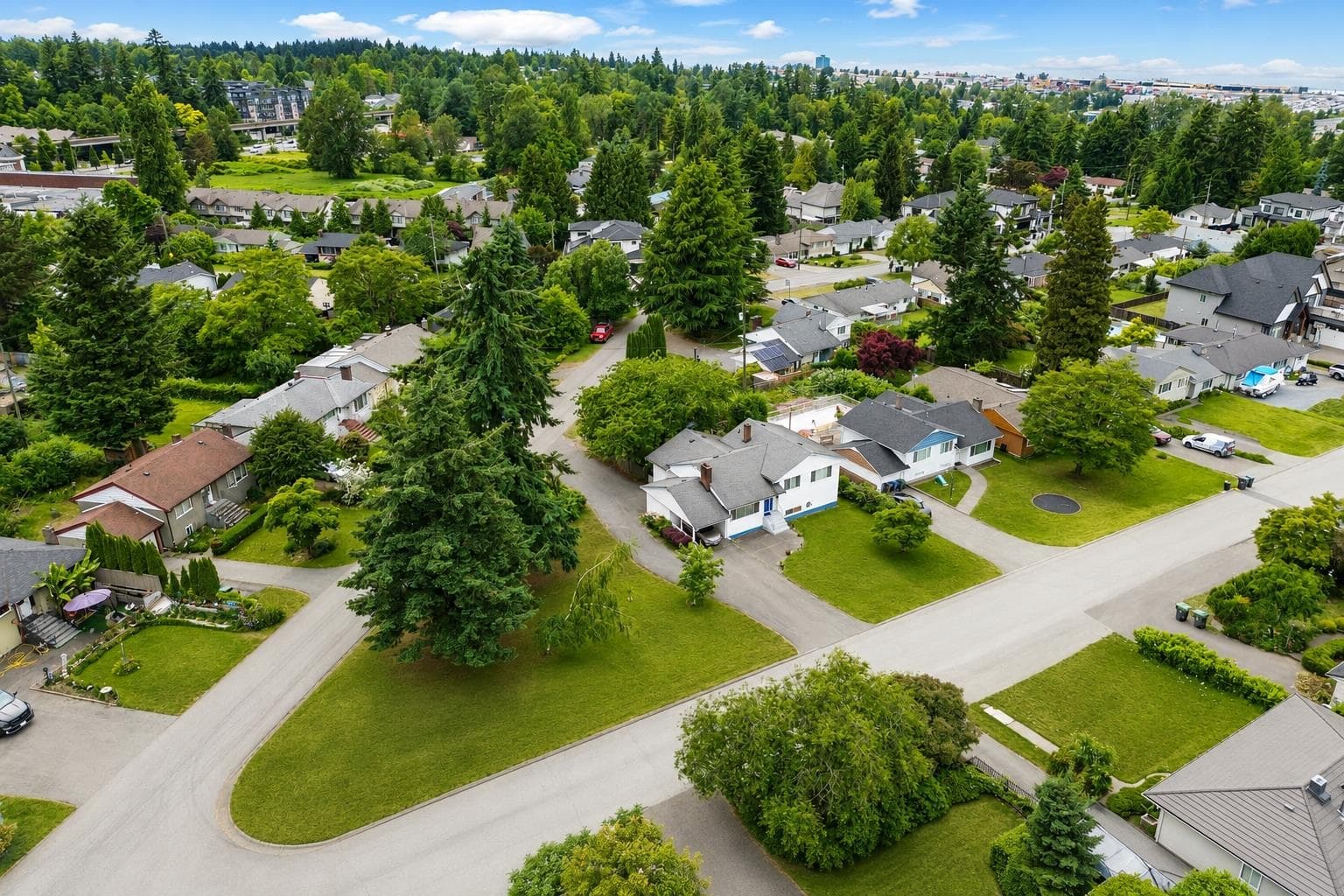 11063 135a Street, Surrey, V3R 3A6 — photo 2