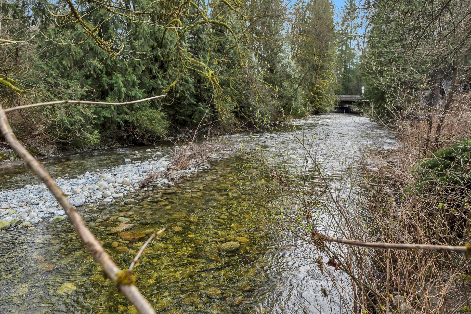 13292 232 Street, Maple Ridge