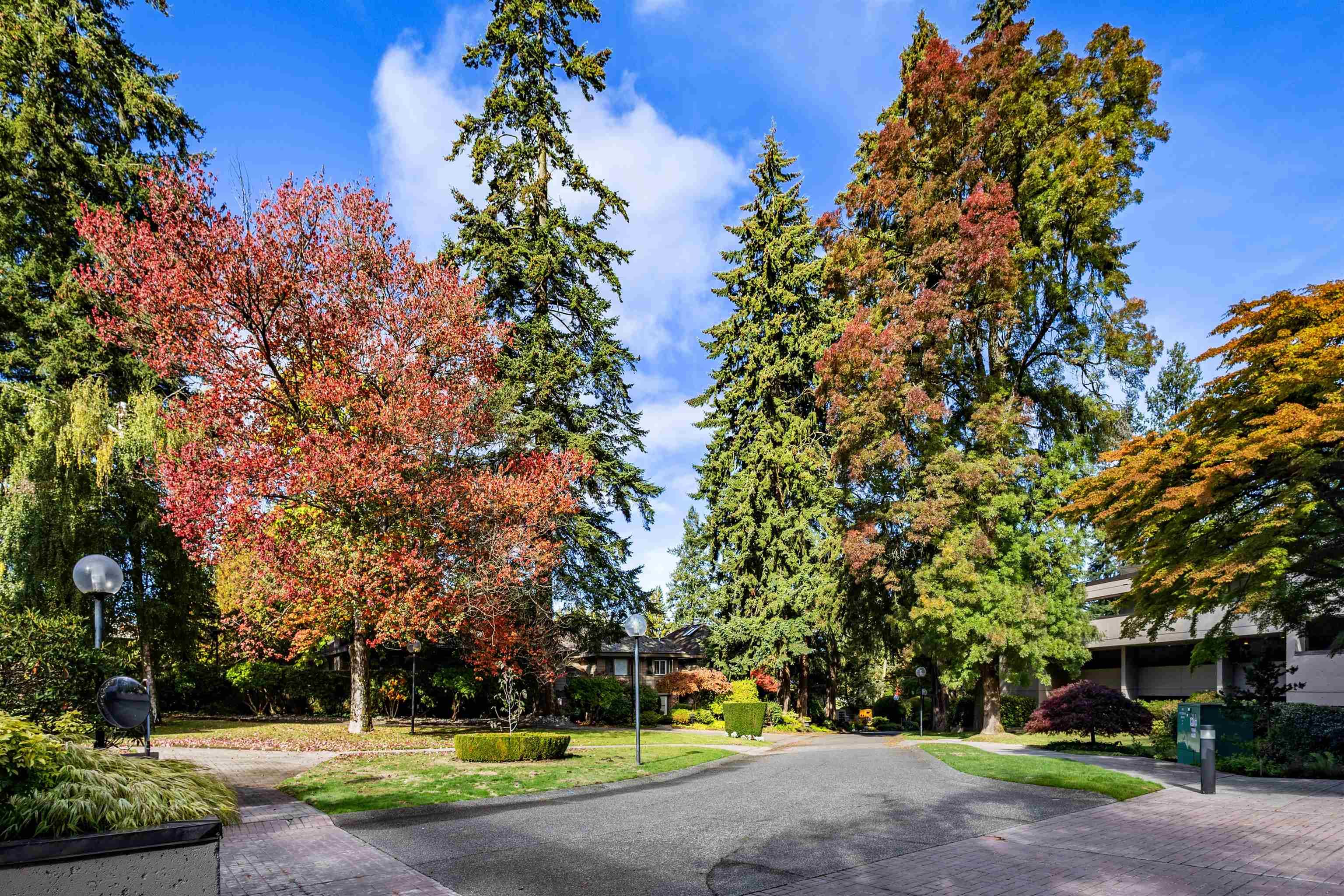 512 - 4900 Cartier Street, Vancouver
