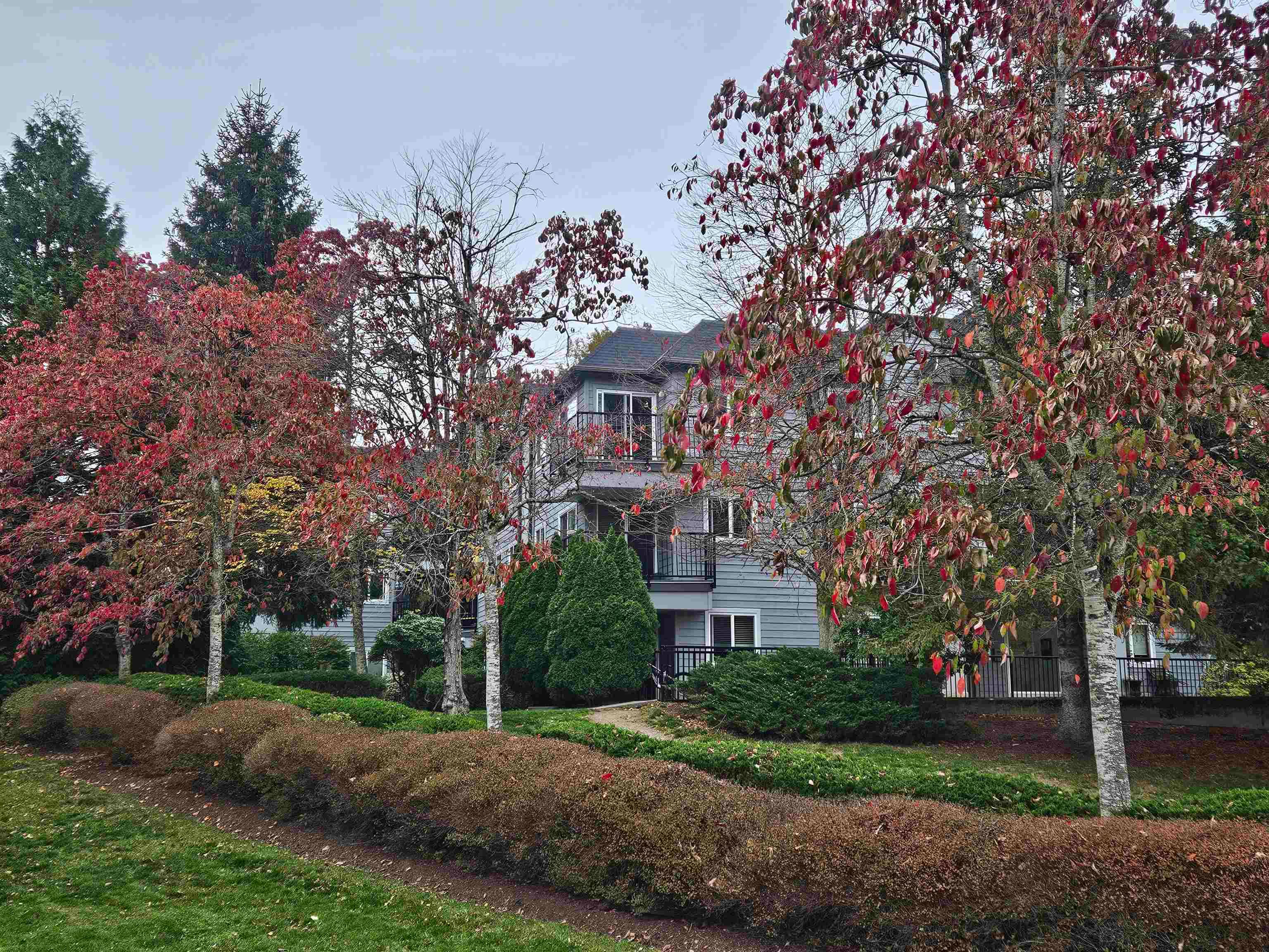 311 - 40180 Willow Crescent, Squamish