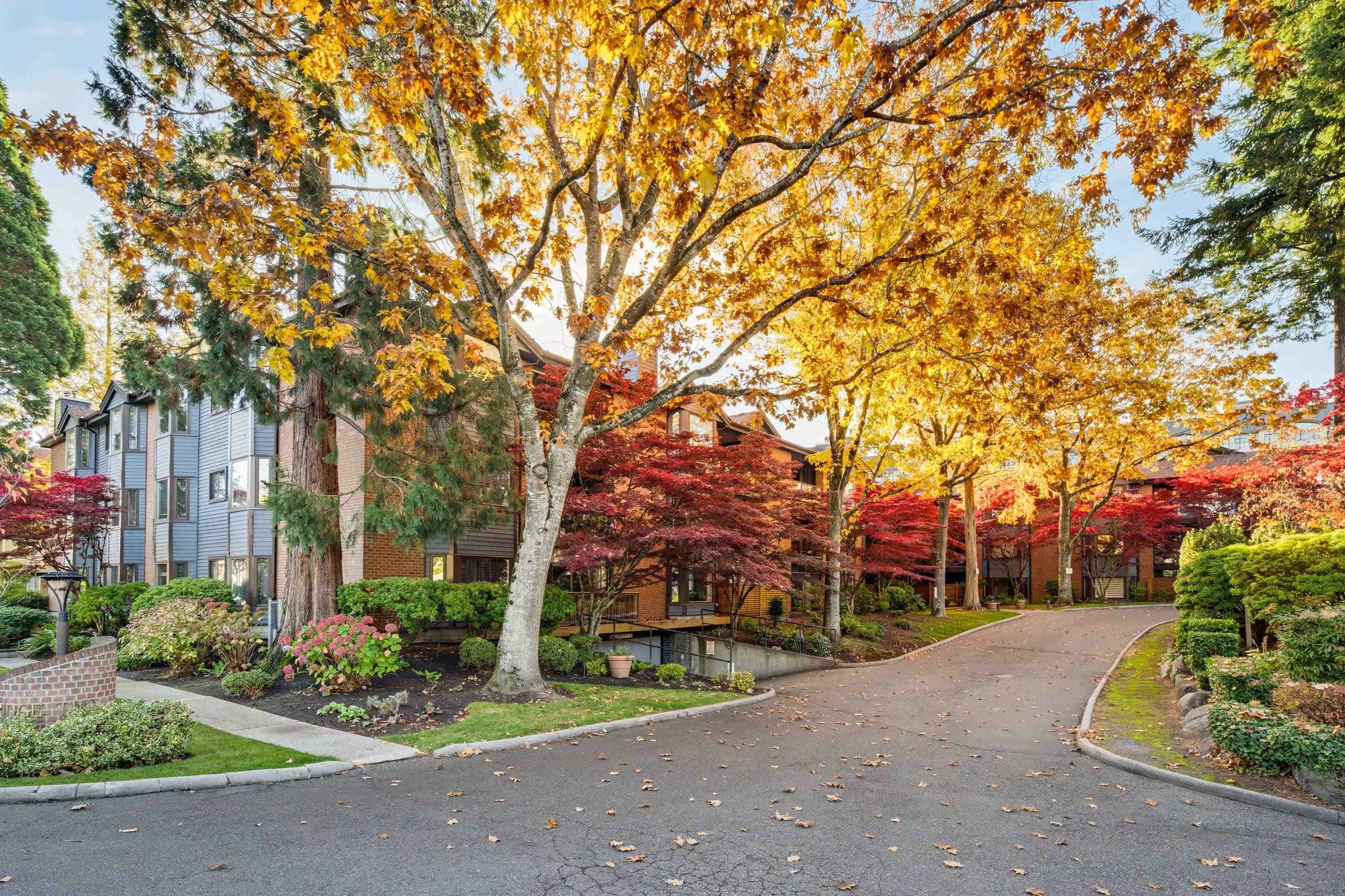 206 - 15300 17 Avenue, Surrey