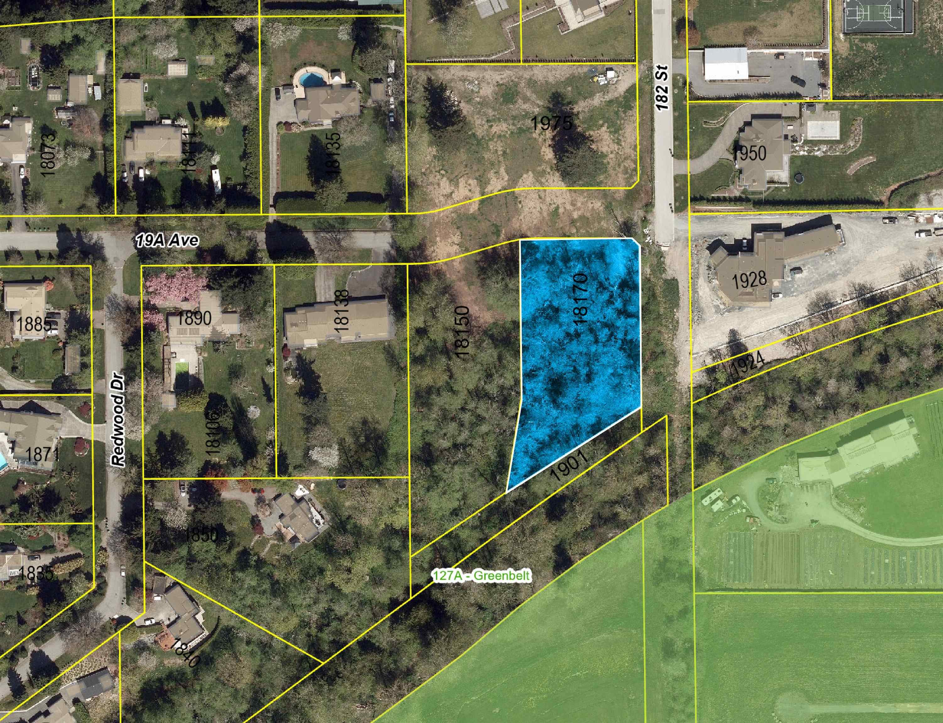 18170 19a Avenue, Surrey