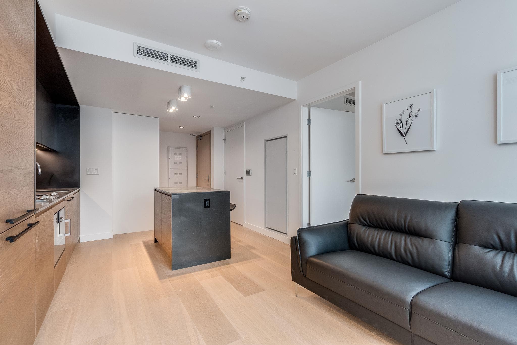 1102 - 1289 Hornby Street, Vancouver