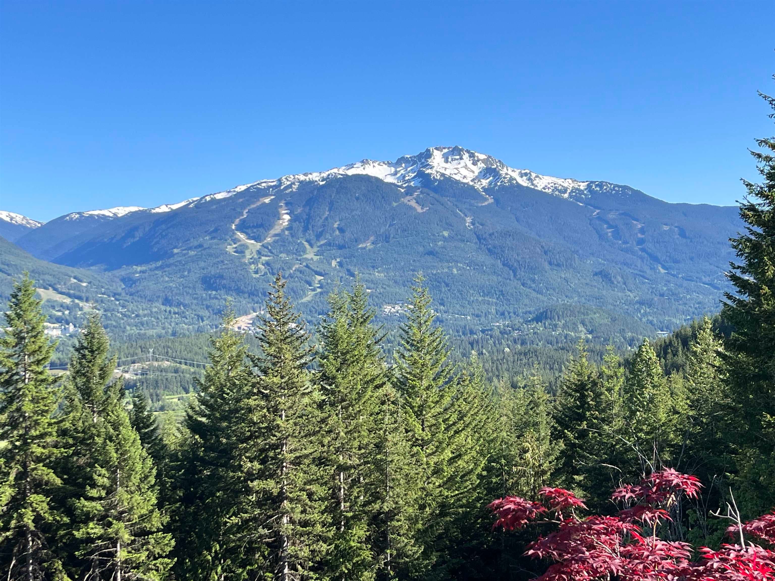 8384 Mountain View Drive, Whistler