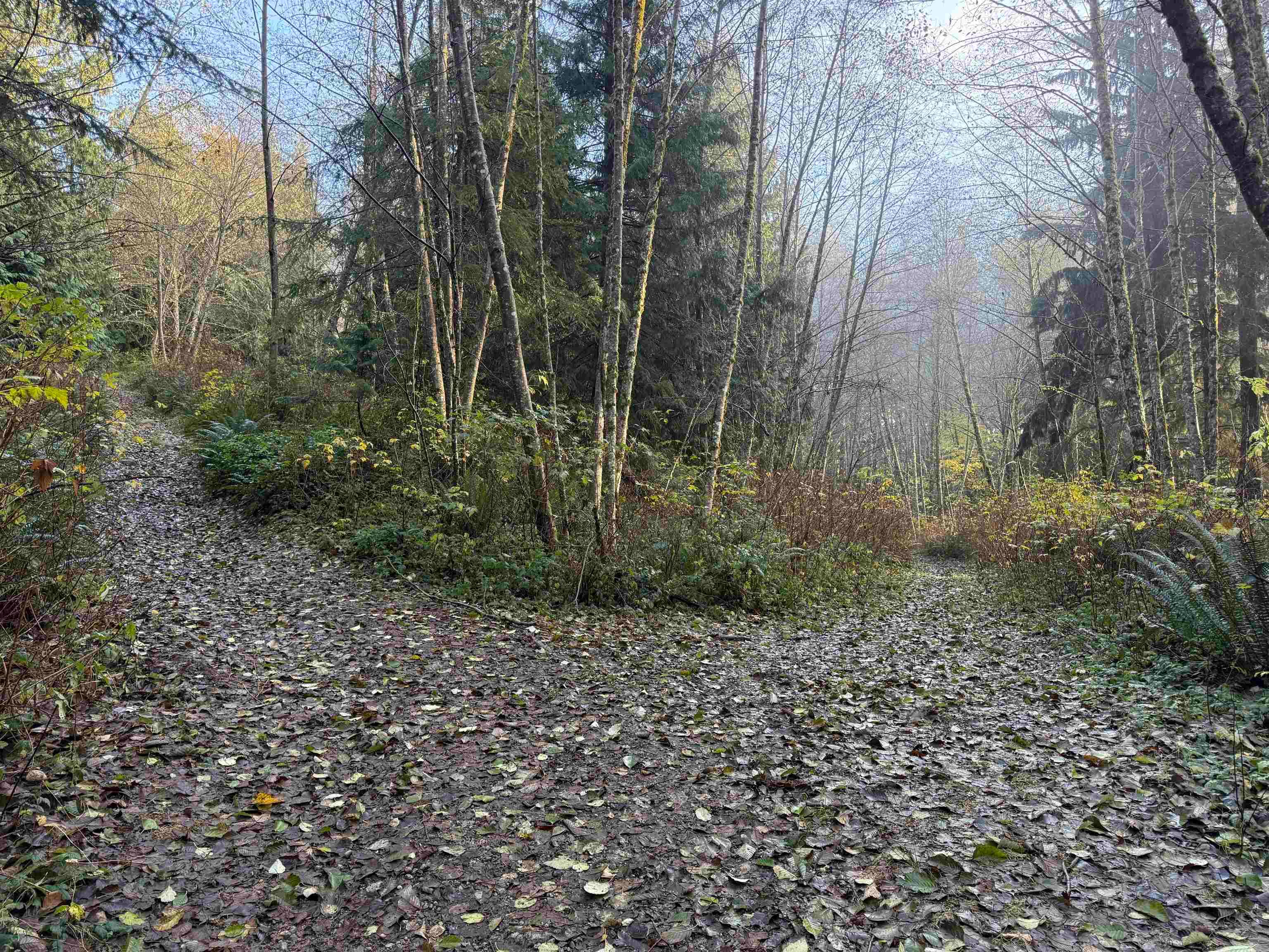 1594 Cemetery Road, Gibsons