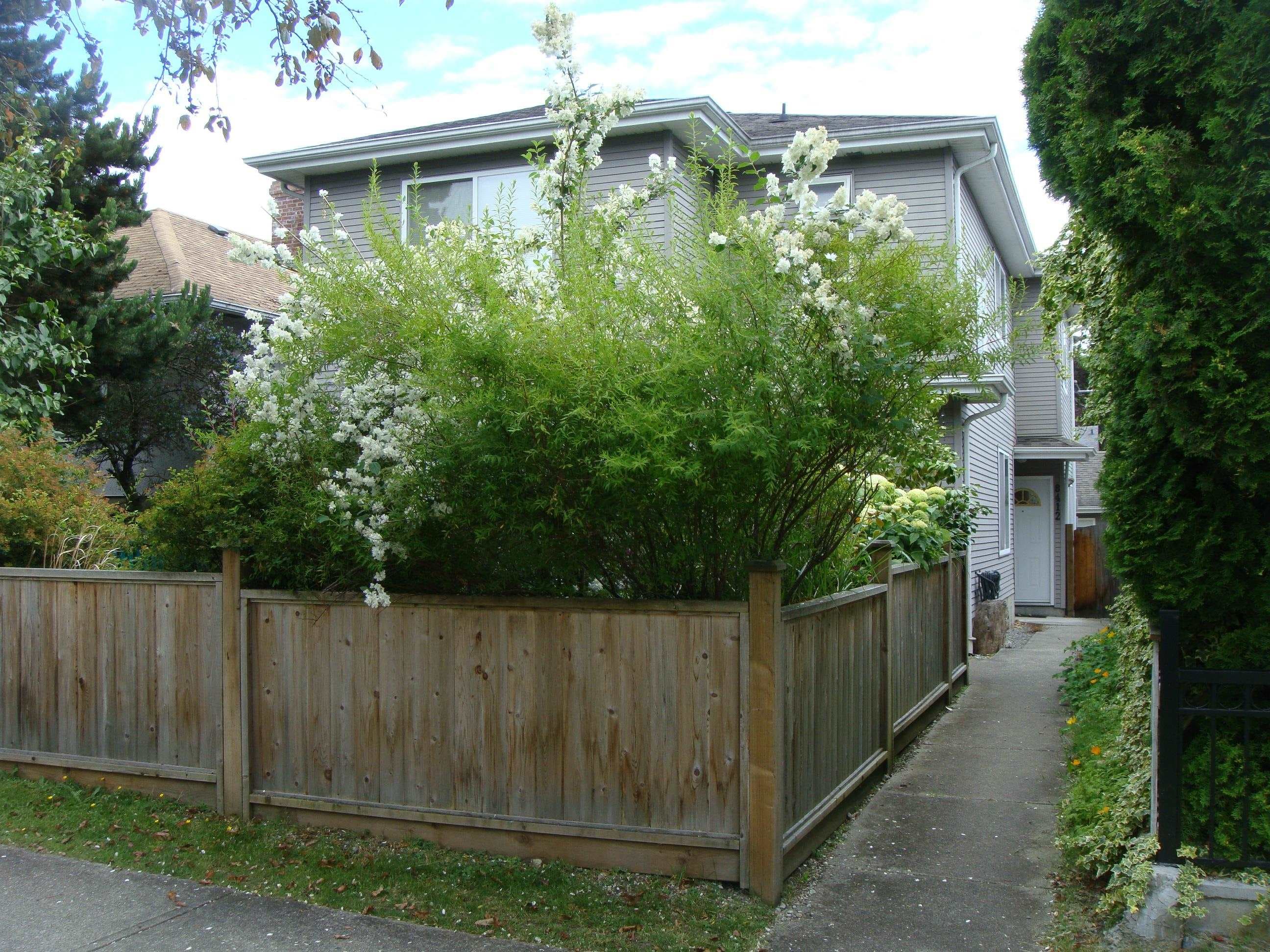 8412 Fremlin Street, Vancouver