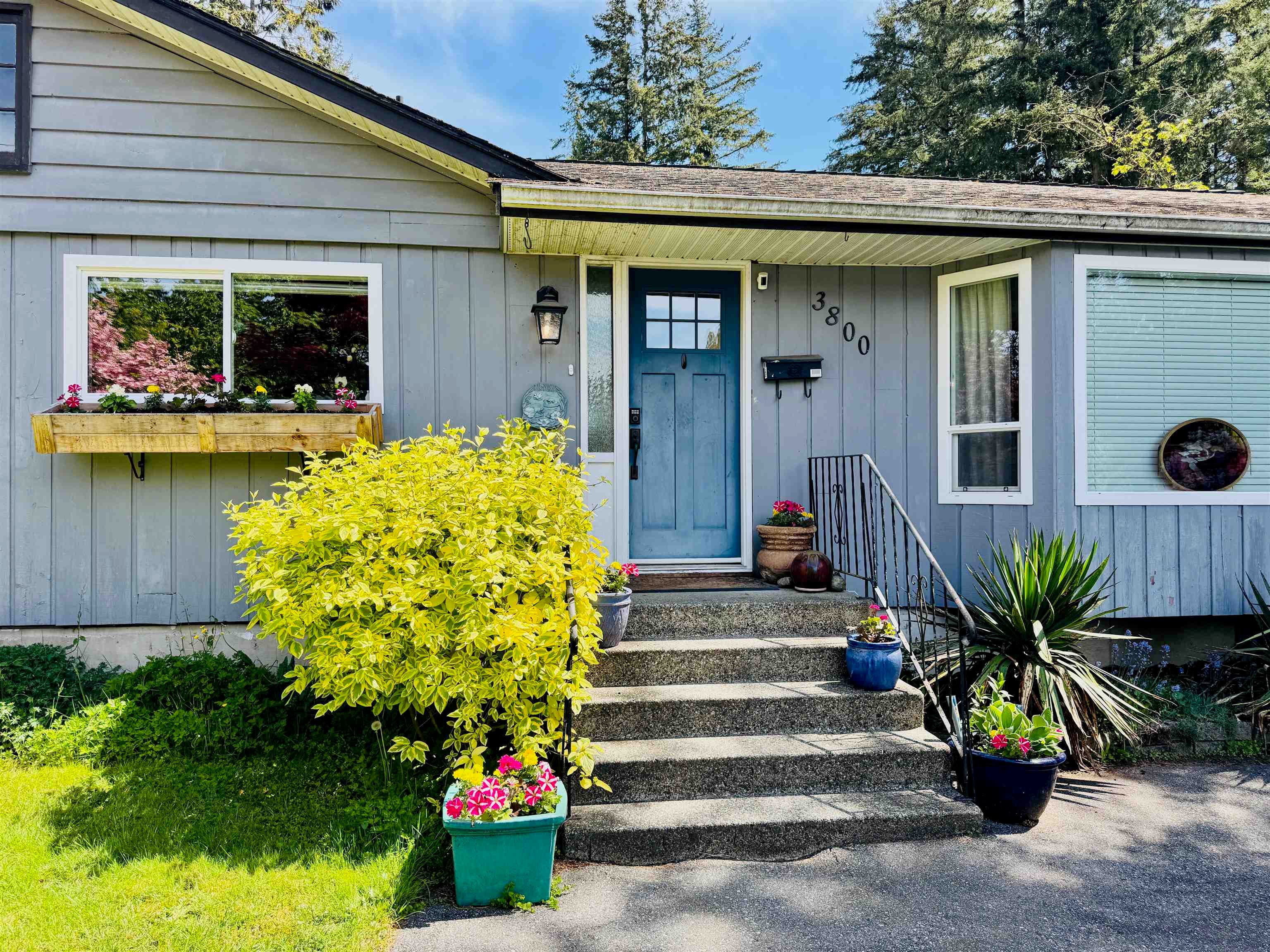 3800 204 Street, Langley, V3A 1X4 — photo 3