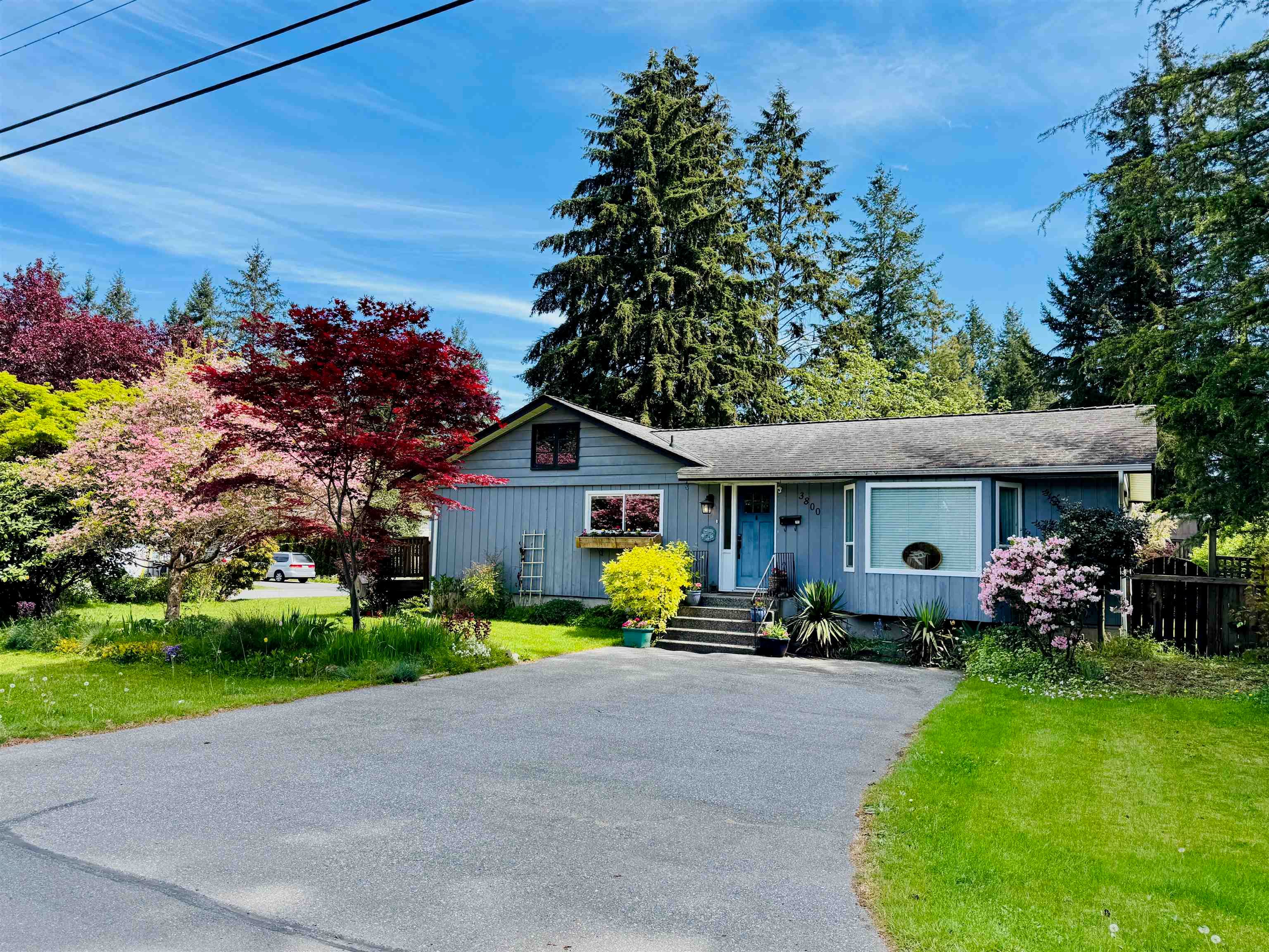 3800 204 Street, Langley, V3A 1X4 — photo 1