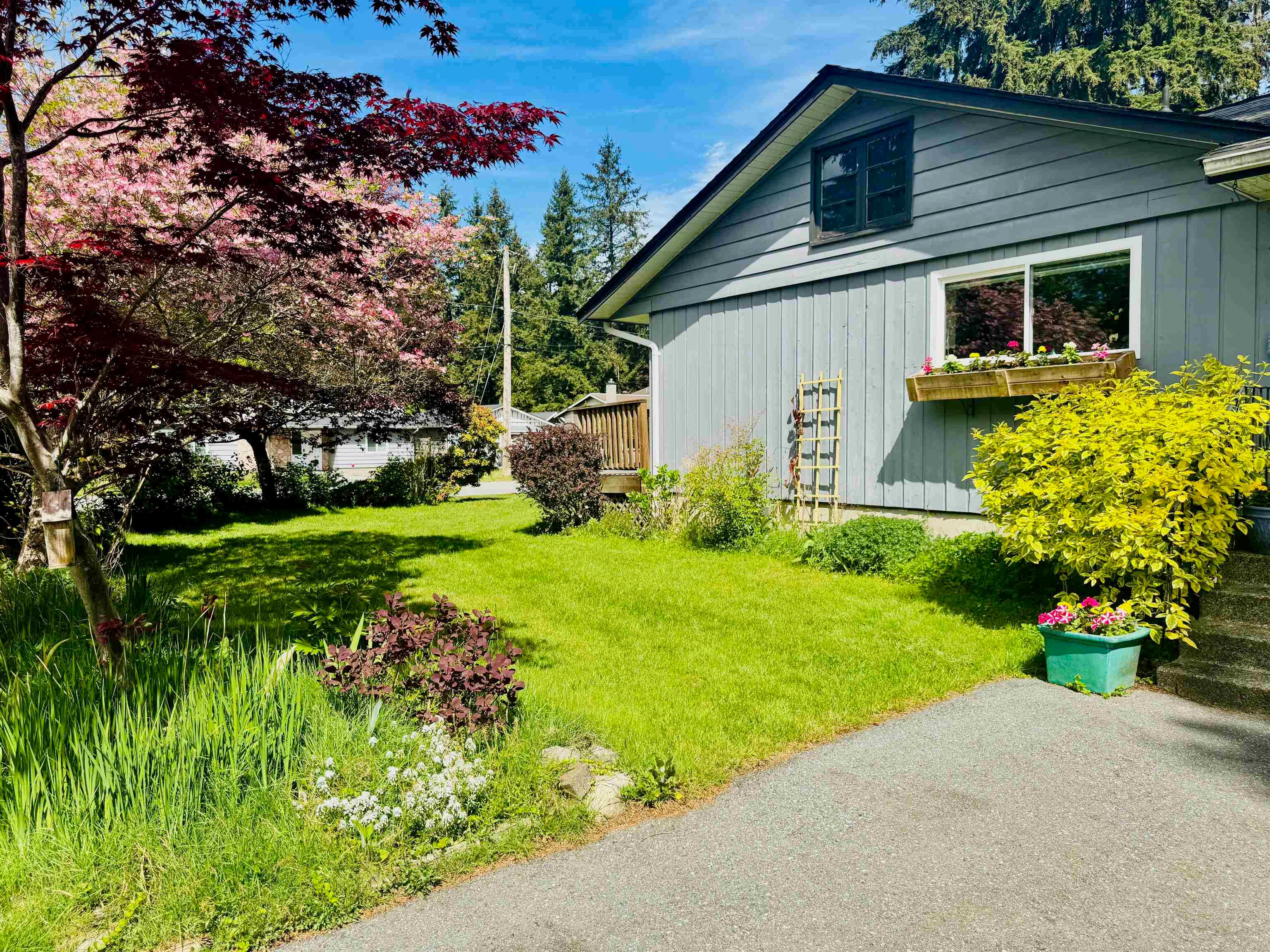 3800 204 Street, Langley, V3A 1X4 — photo 5