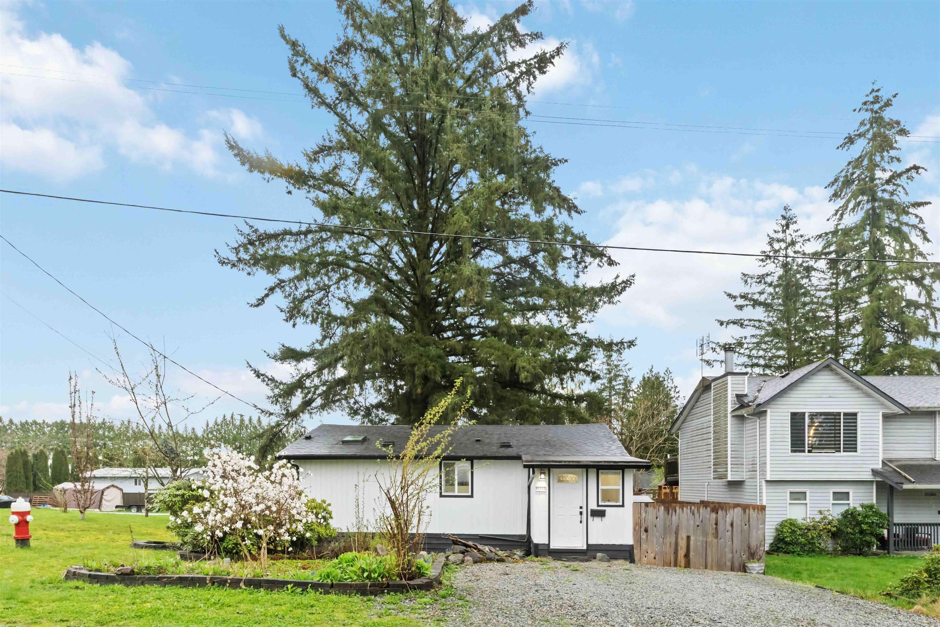 11125 Charlton Street, Maple Ridge, V2X 1N5 — photo 4