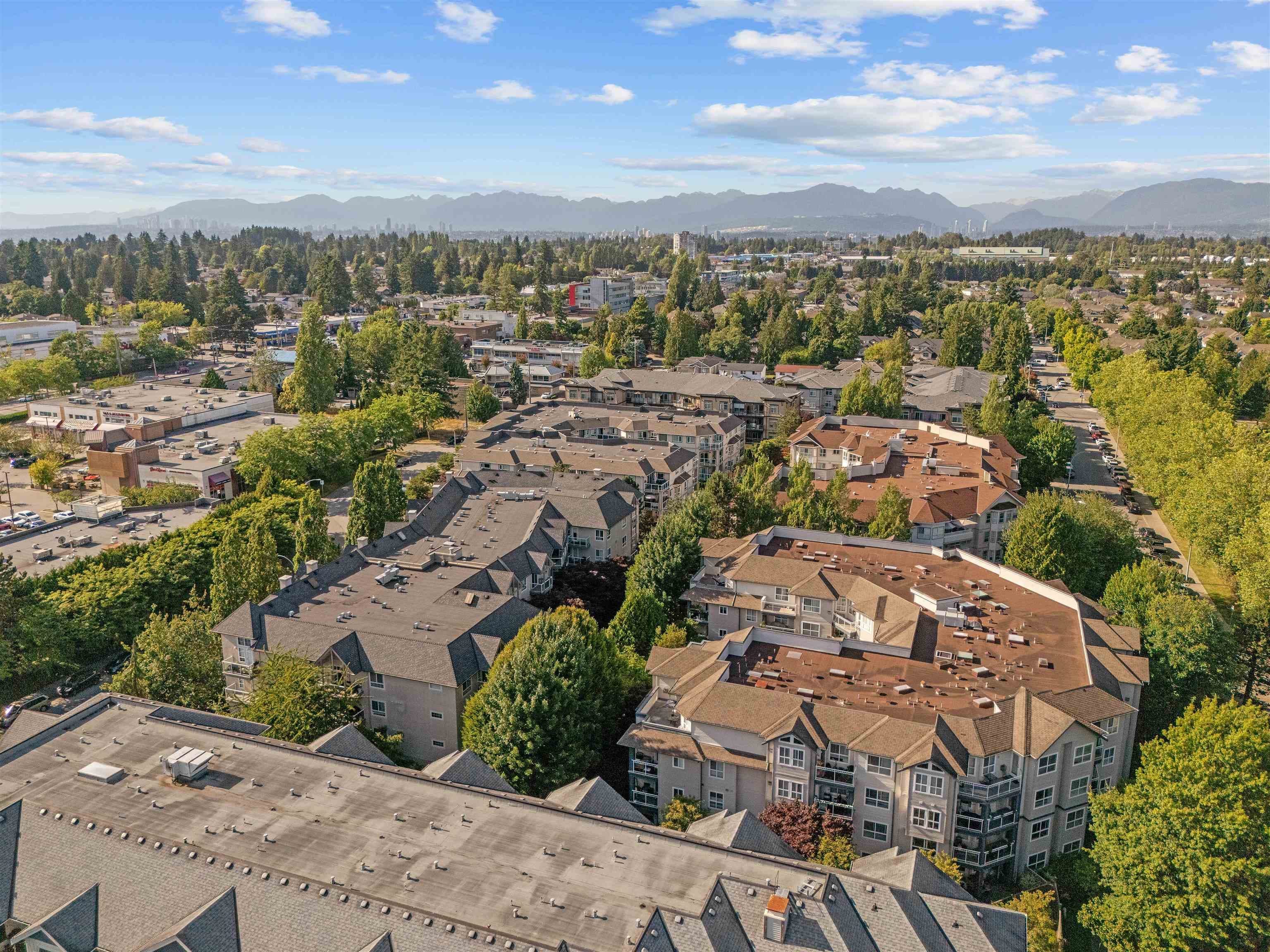 312 - 8110 120a Street, Surrey, V3W 3P3 — photo 4