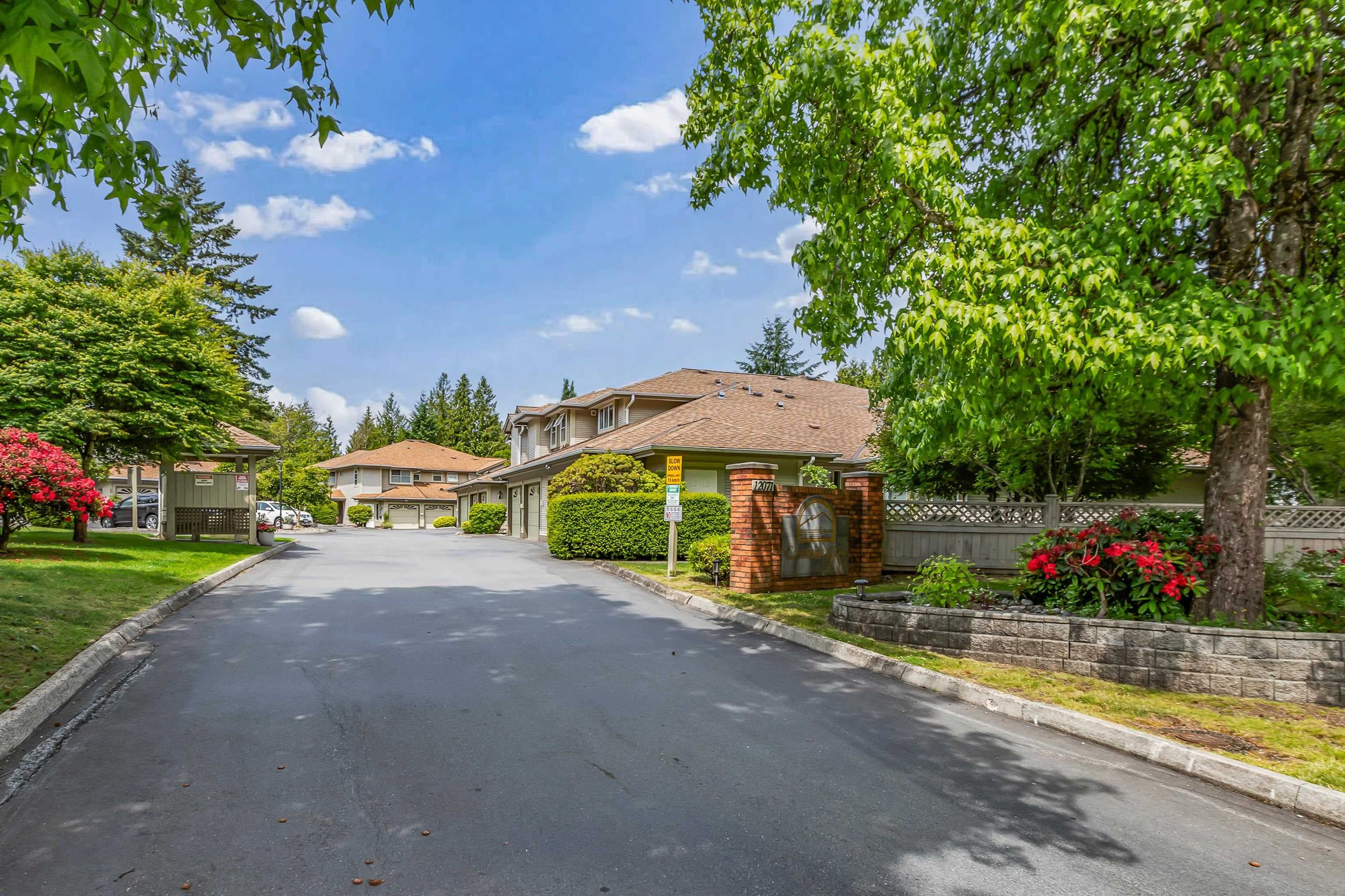31 - 12071 232b Street, Maple Ridge