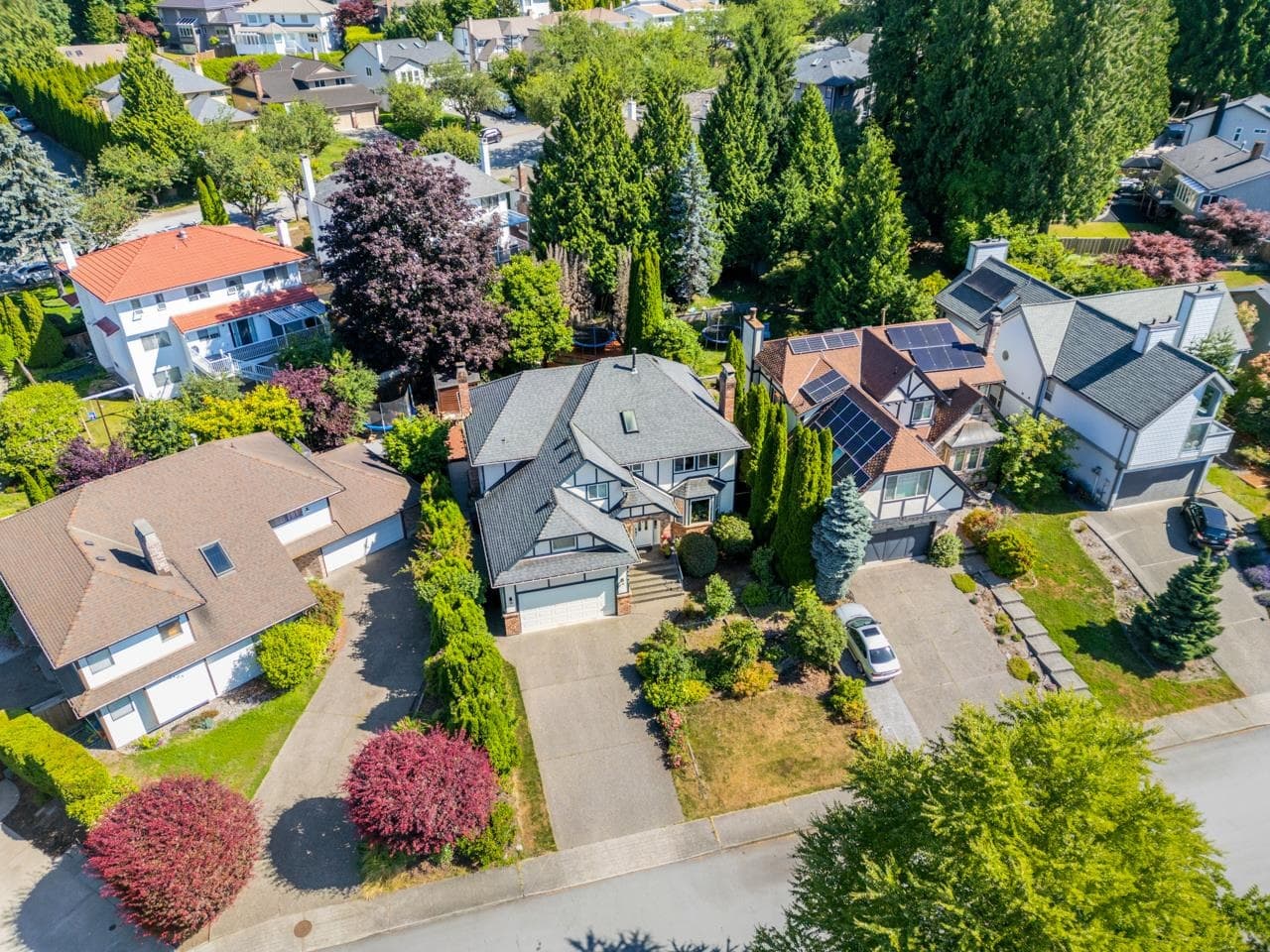 2507 Ashurst Avenue, Coquitlam, V3K 5T5 — photo 2