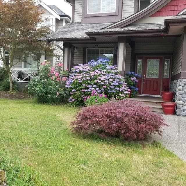 6081 164a Street, Surrey, V3S 3V8 — photo 2