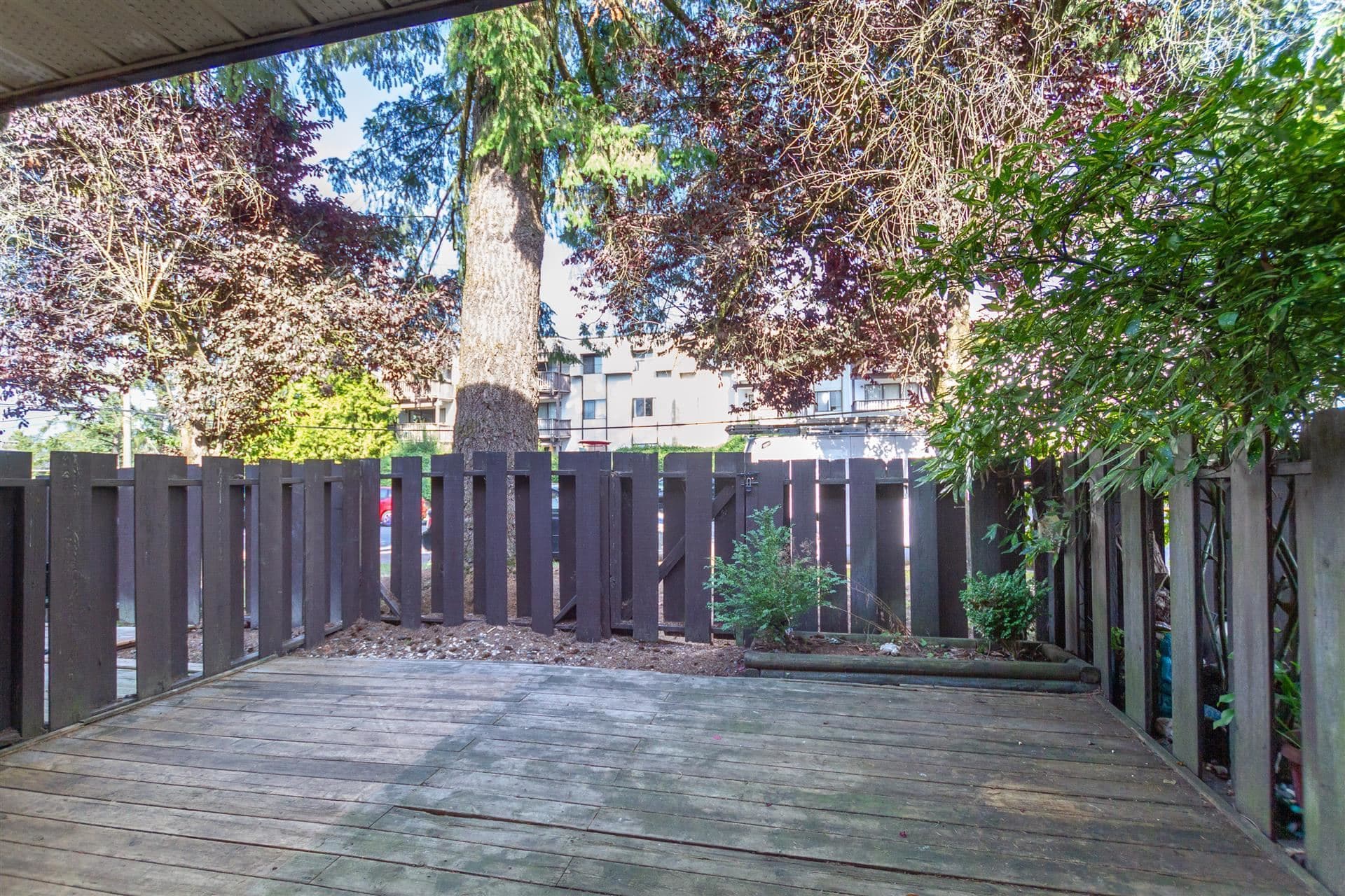 22180 122nd Avenue, Maple Ridge, V2X 3X6 — photo 4