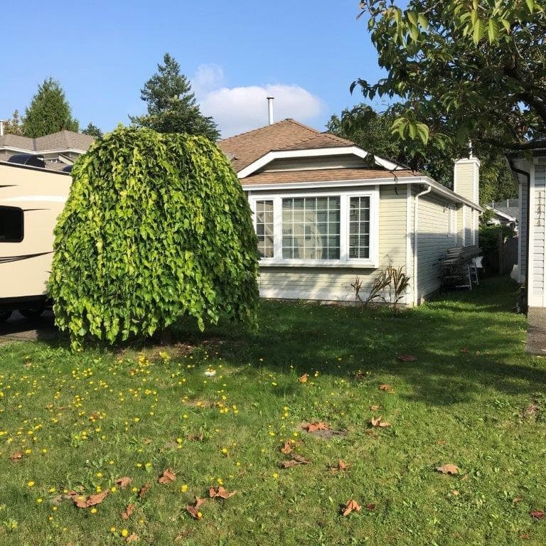 11484 207 Street, Maple Ridge, V2X 1X1 — photo 2