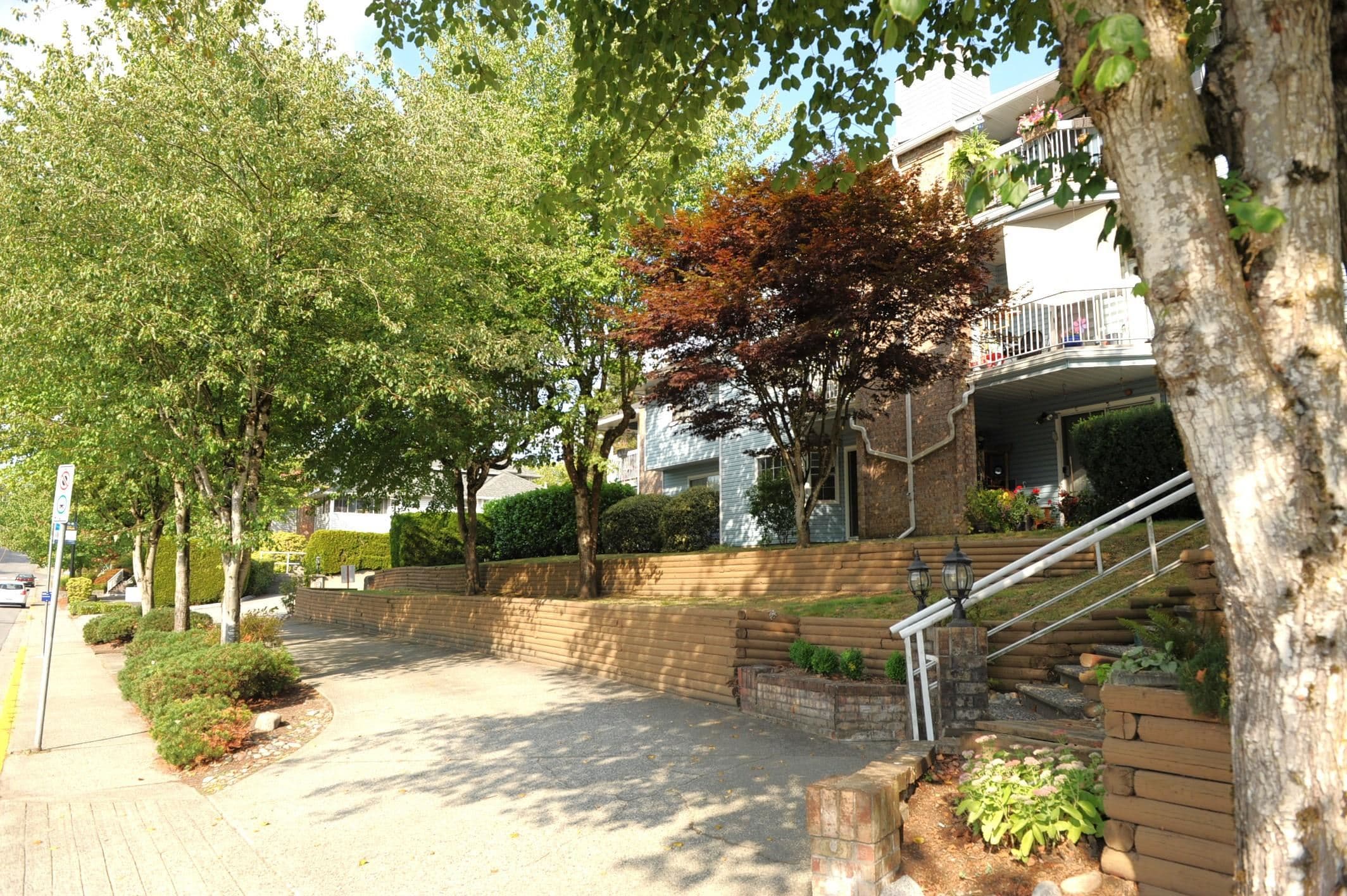 115 - 11510 225 Street, Maple Ridge, V2X 9Y3 — photo 5
