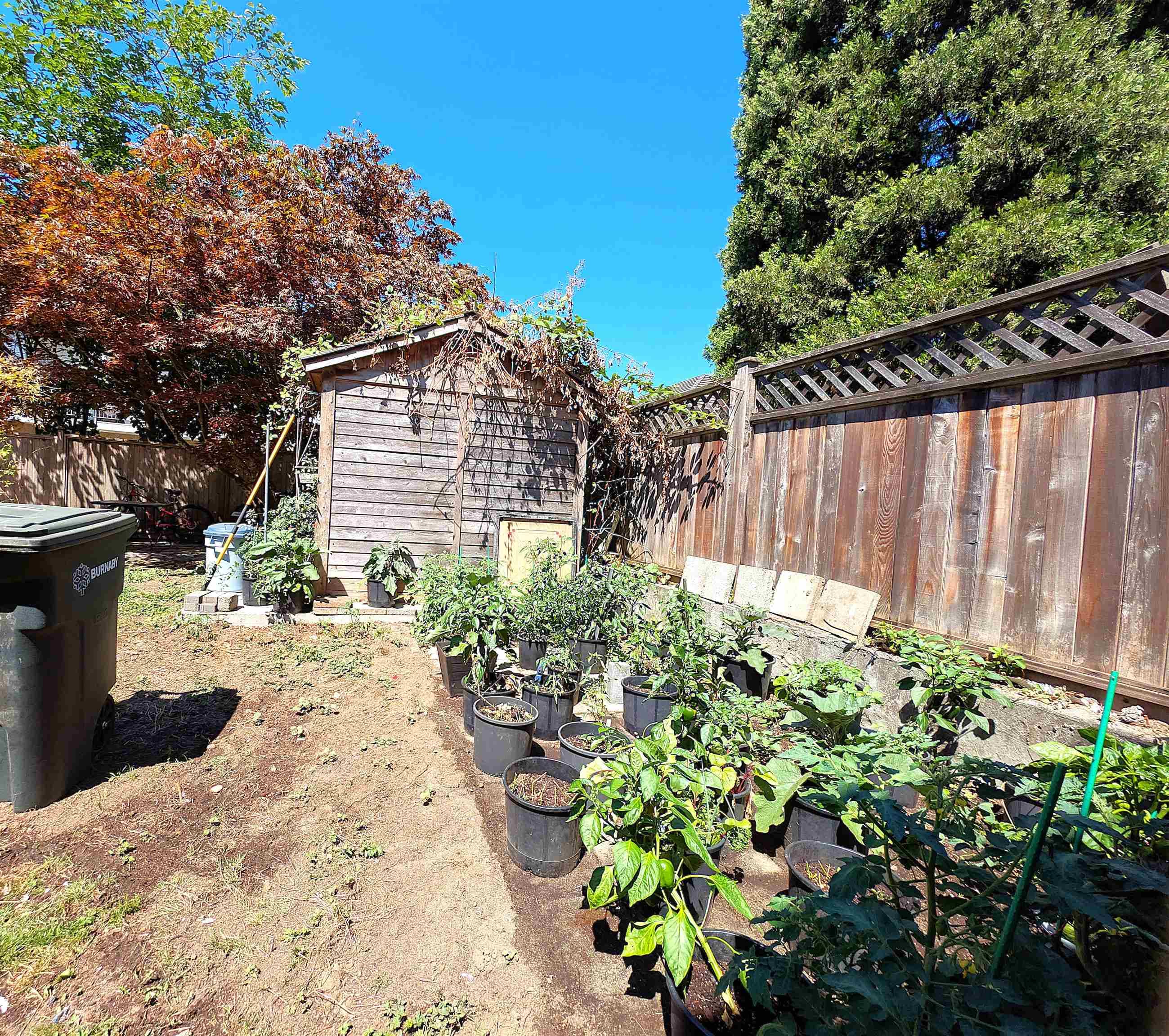 7479 Holly Street, Burnaby, V5E 2C3 — photo 4