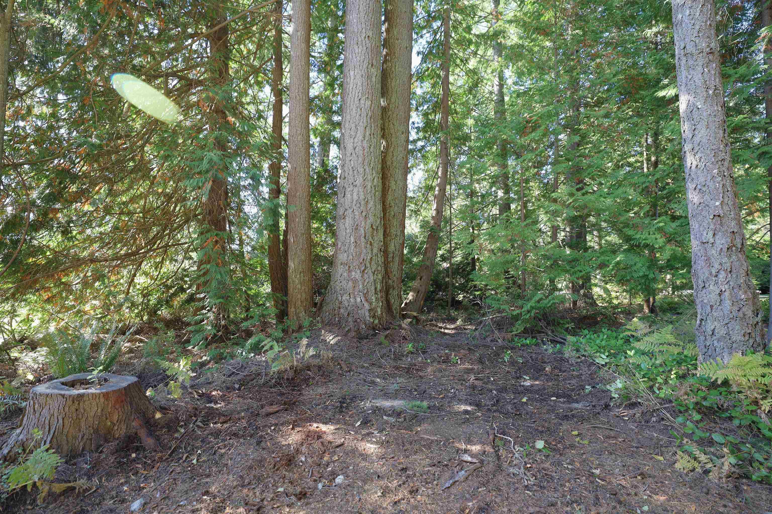 588 Veterans Road, Gibsons, V0N 1V4 — photo 5