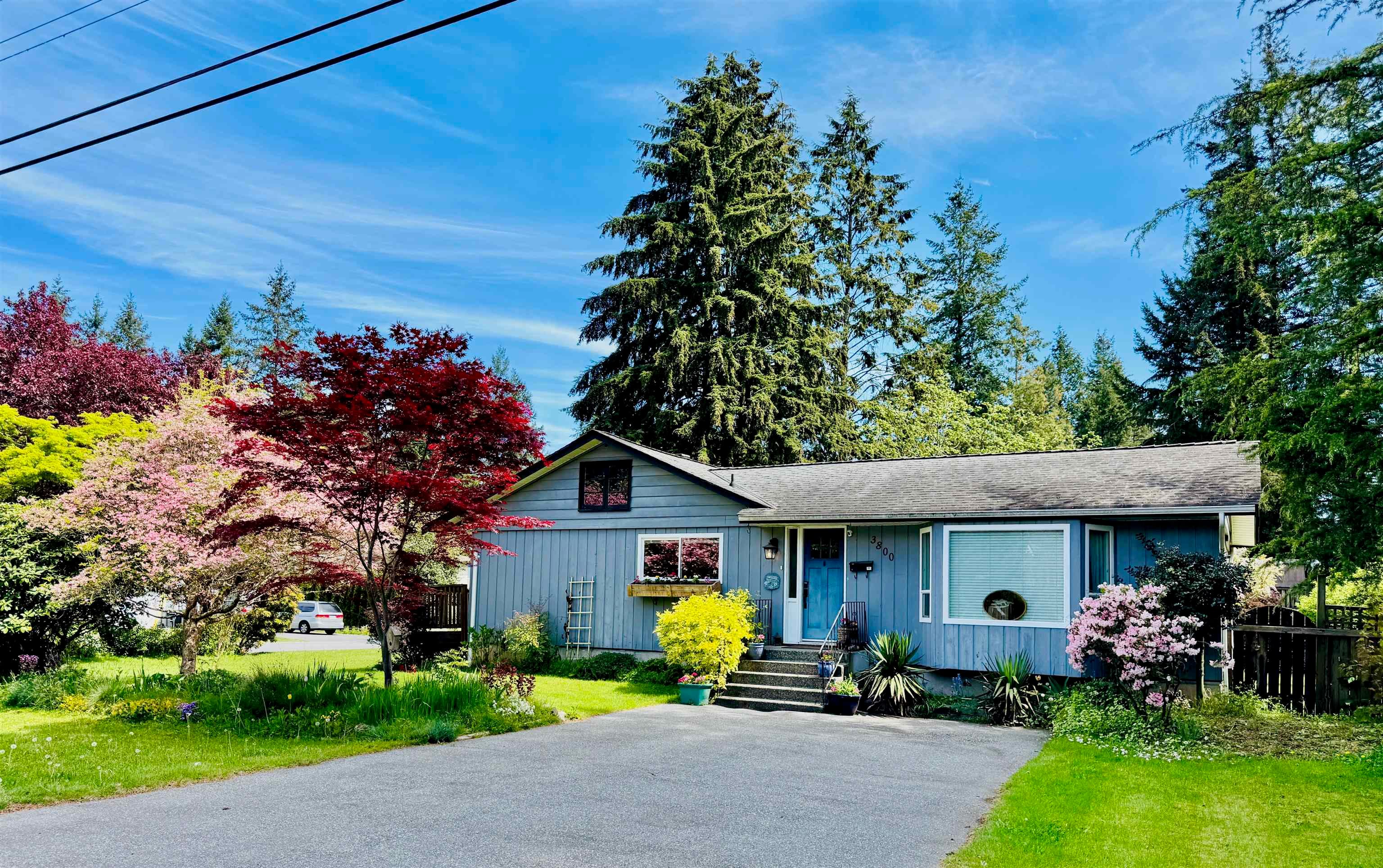 3800 204 Street, Langley, V3A 1X4 — photo 2